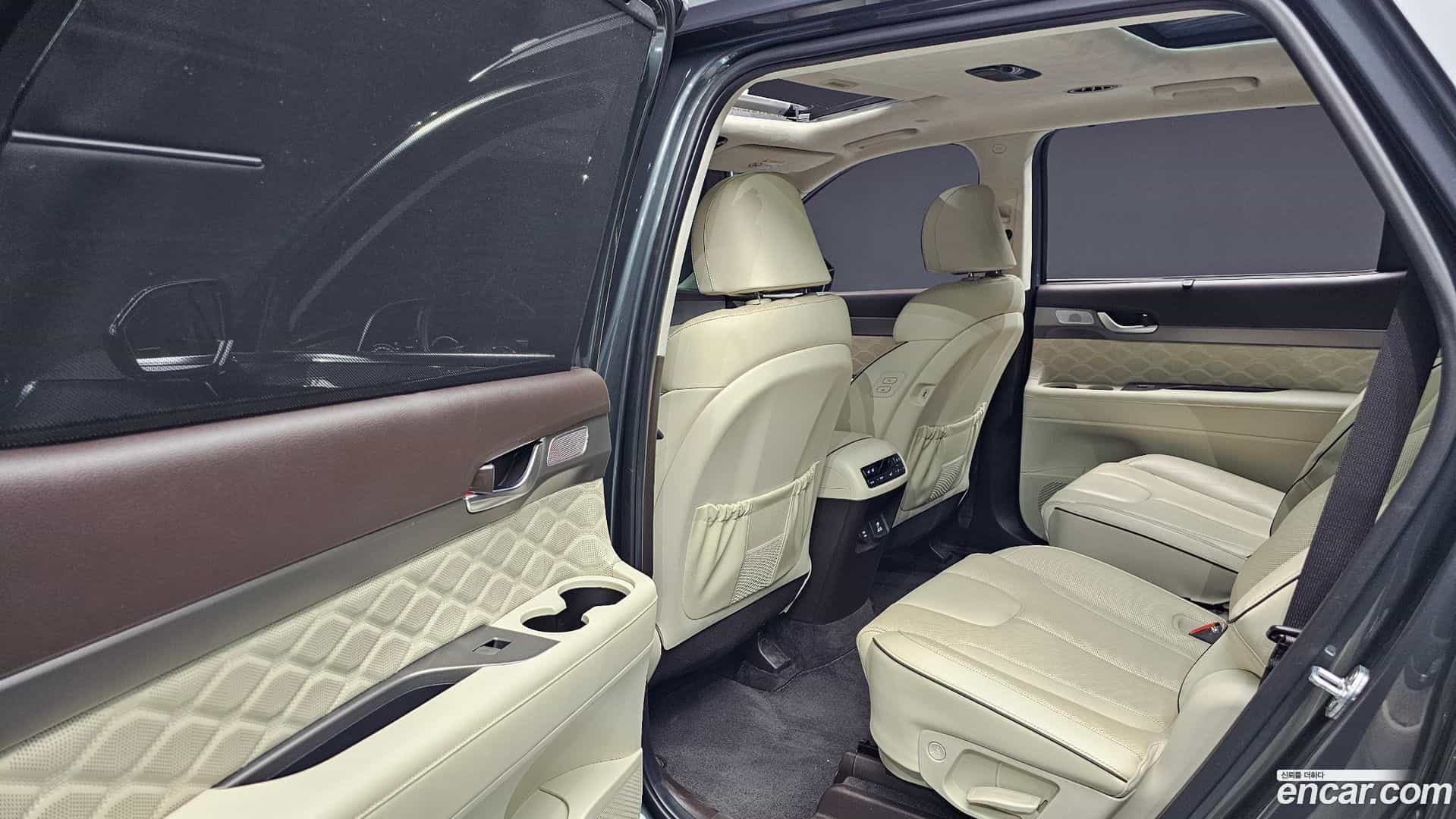 Palisade Hyundai 2020.6-OPTION-021