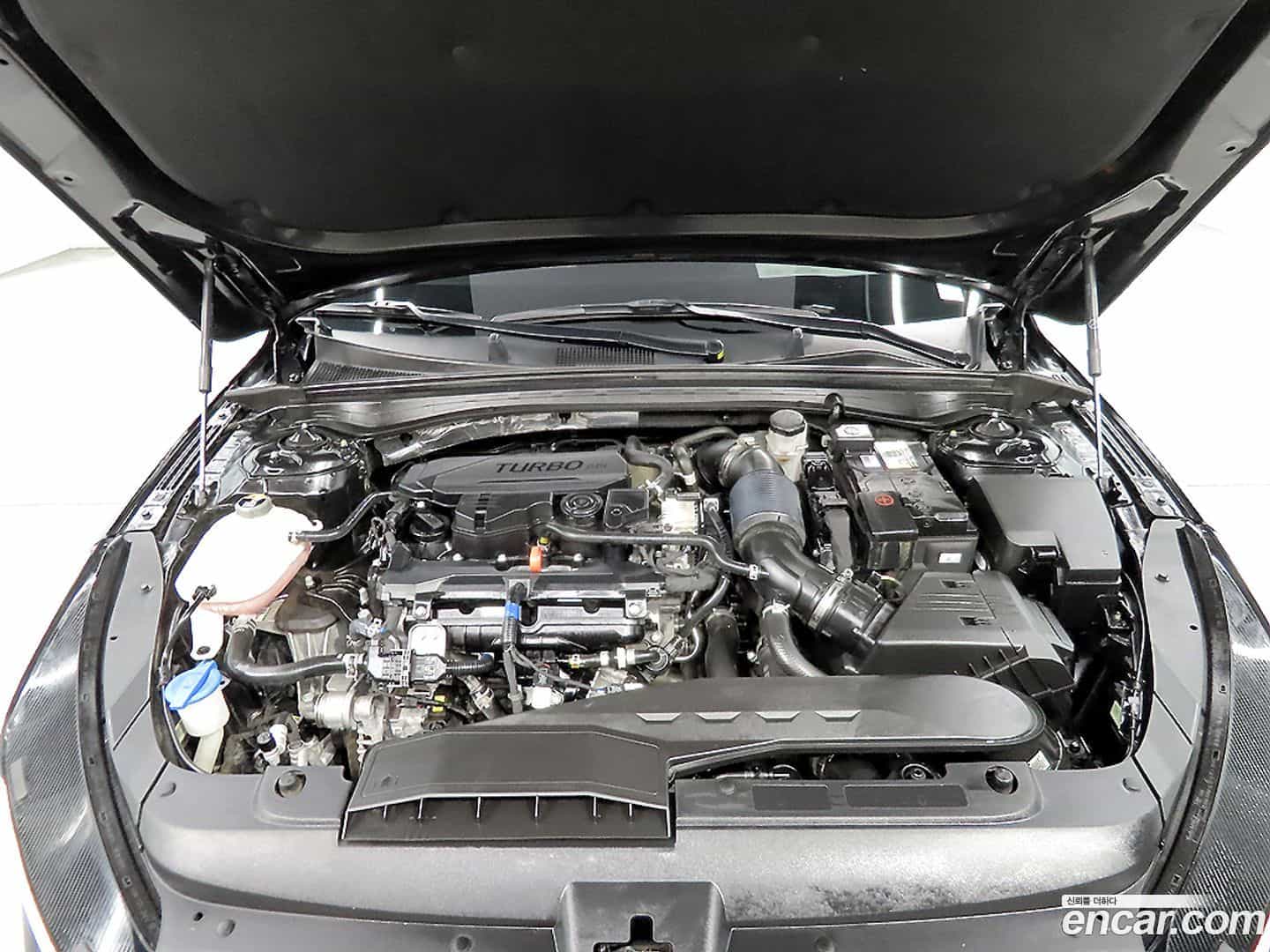 K5 Kia 2022.3-OPTION-023