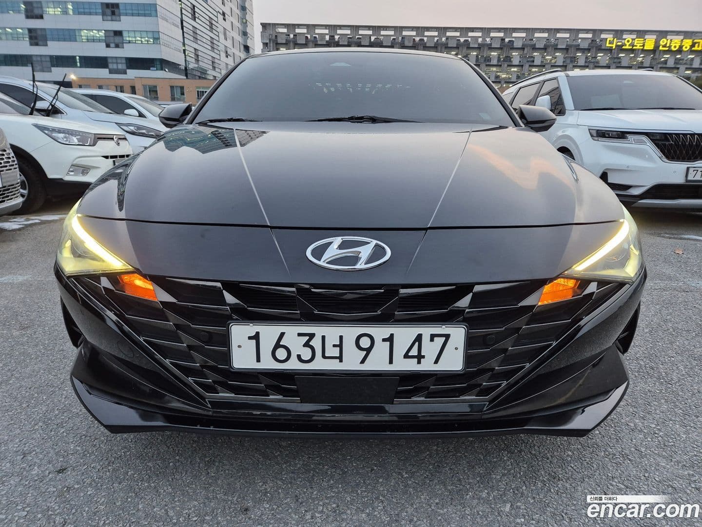 Main__Slider__Photo:AVANTE Hyundai 2022.5-0