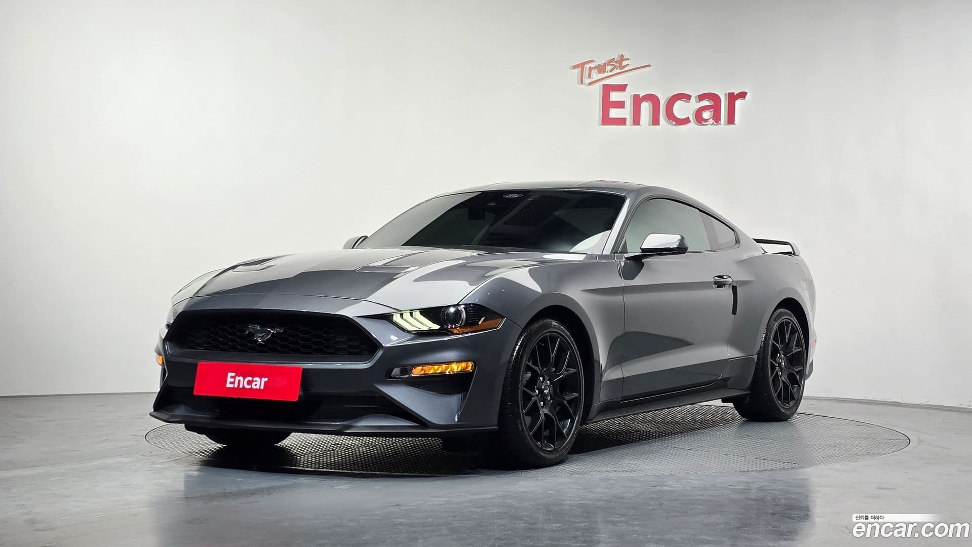 Main__Slider__Photo:Mustang Ford 2022.7-0