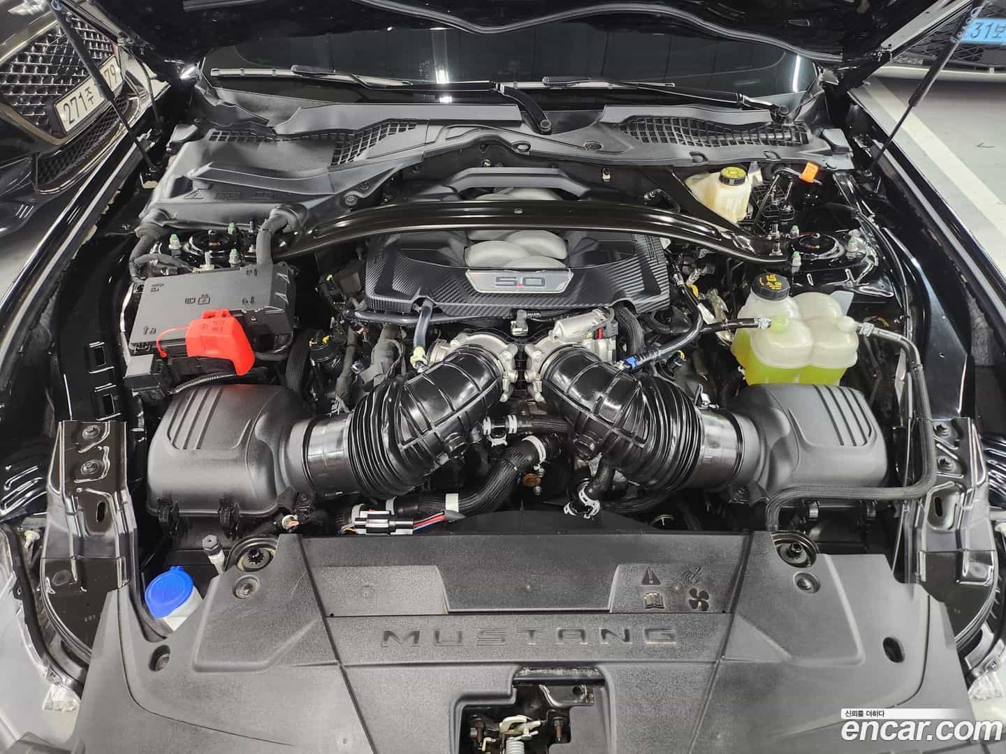 Mustang Ford 2024.2-INNER-006