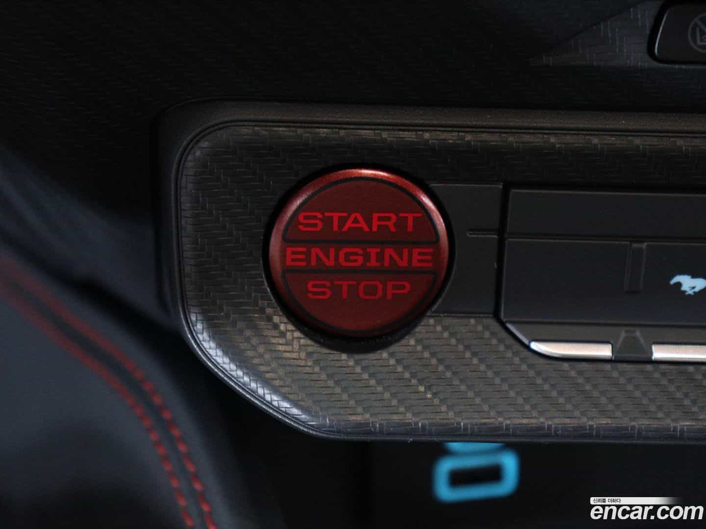 Mustang Ford 2024.2-OPTION-022