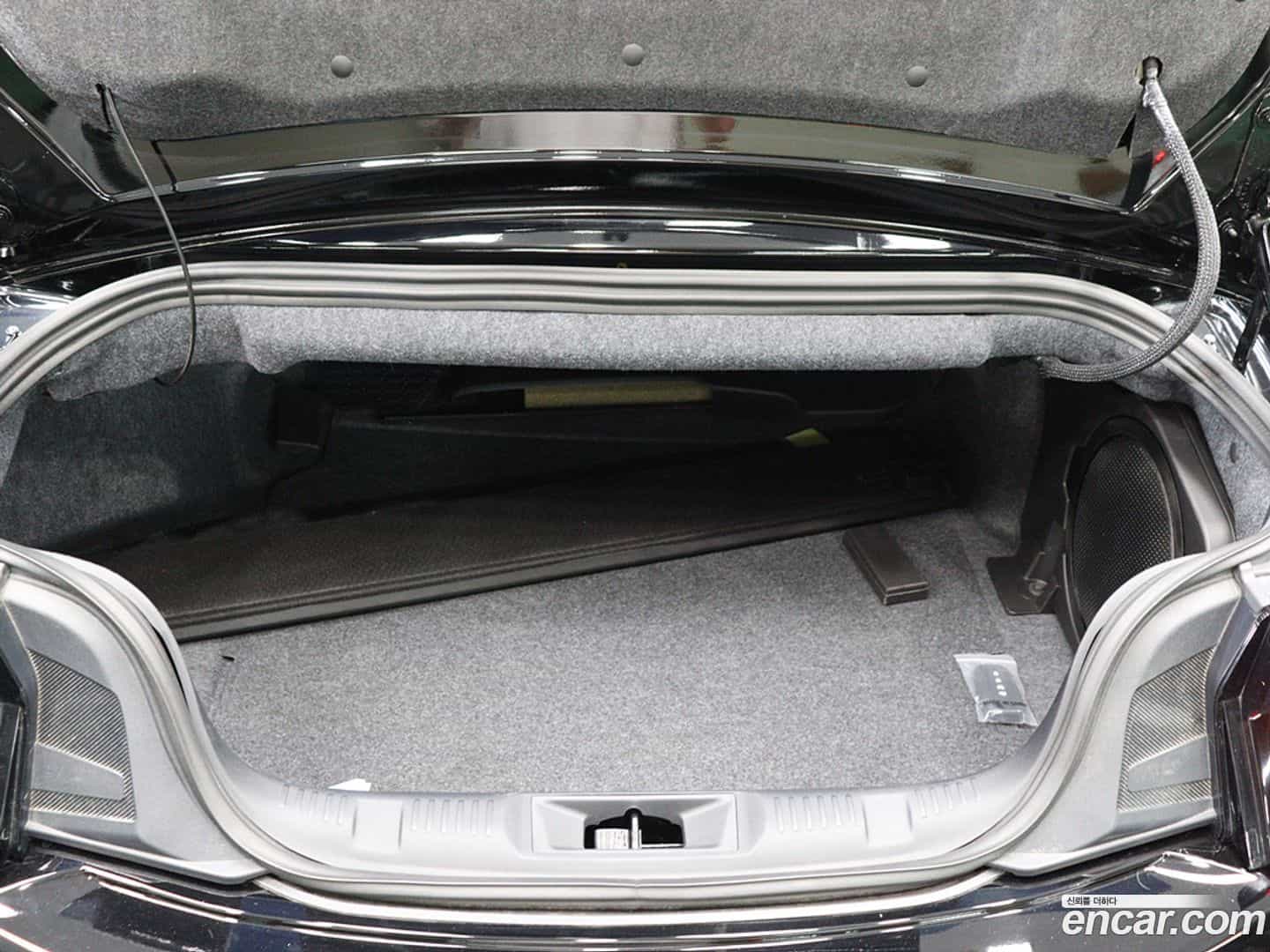 Mustang Ford 2024.2-OPTION-023