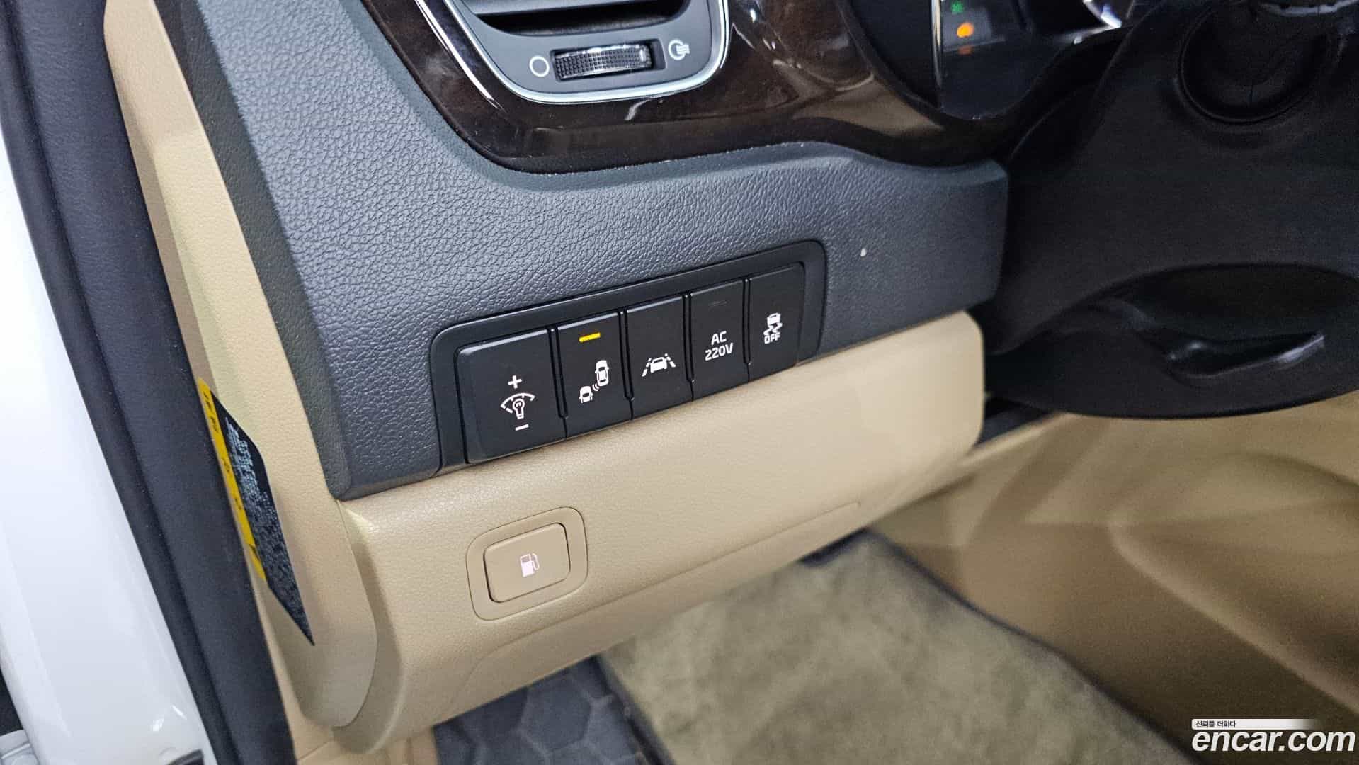 Canival Kia 2018.9-OPTION-018