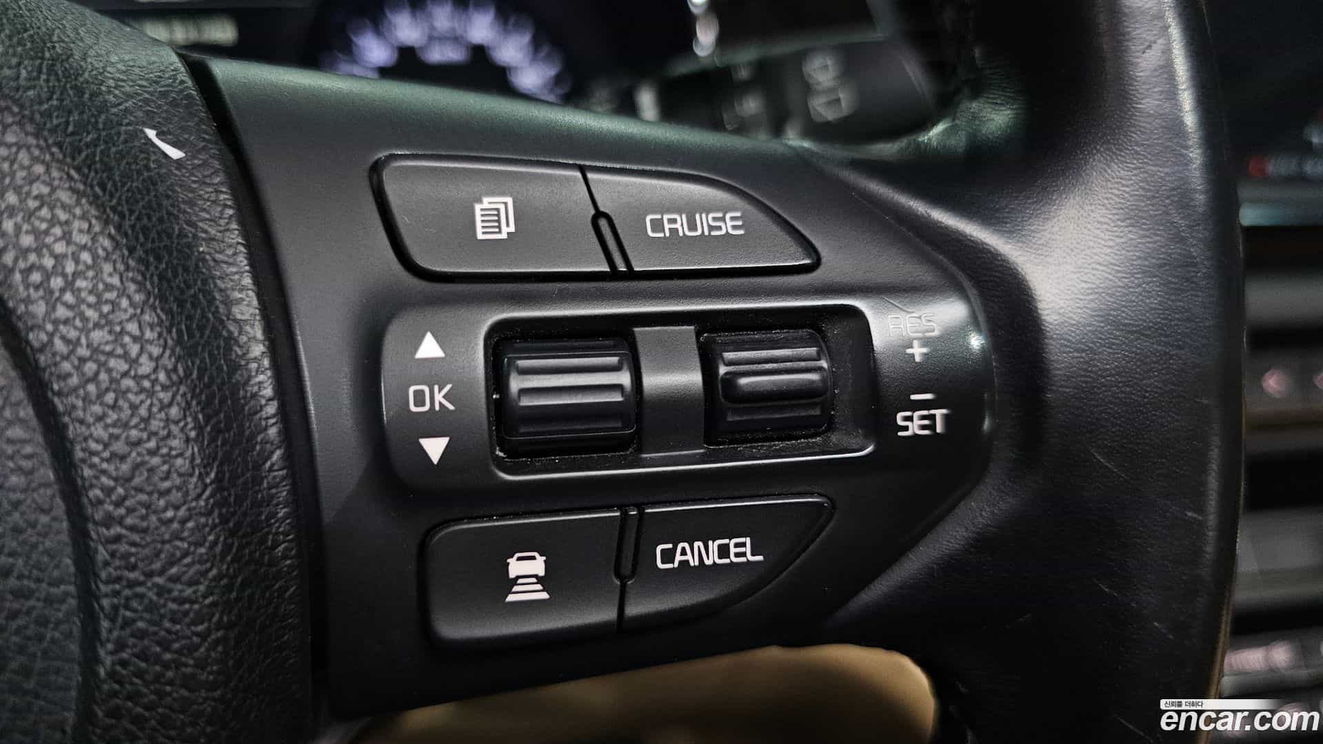 Canival Kia 2018.9-OPTION-024