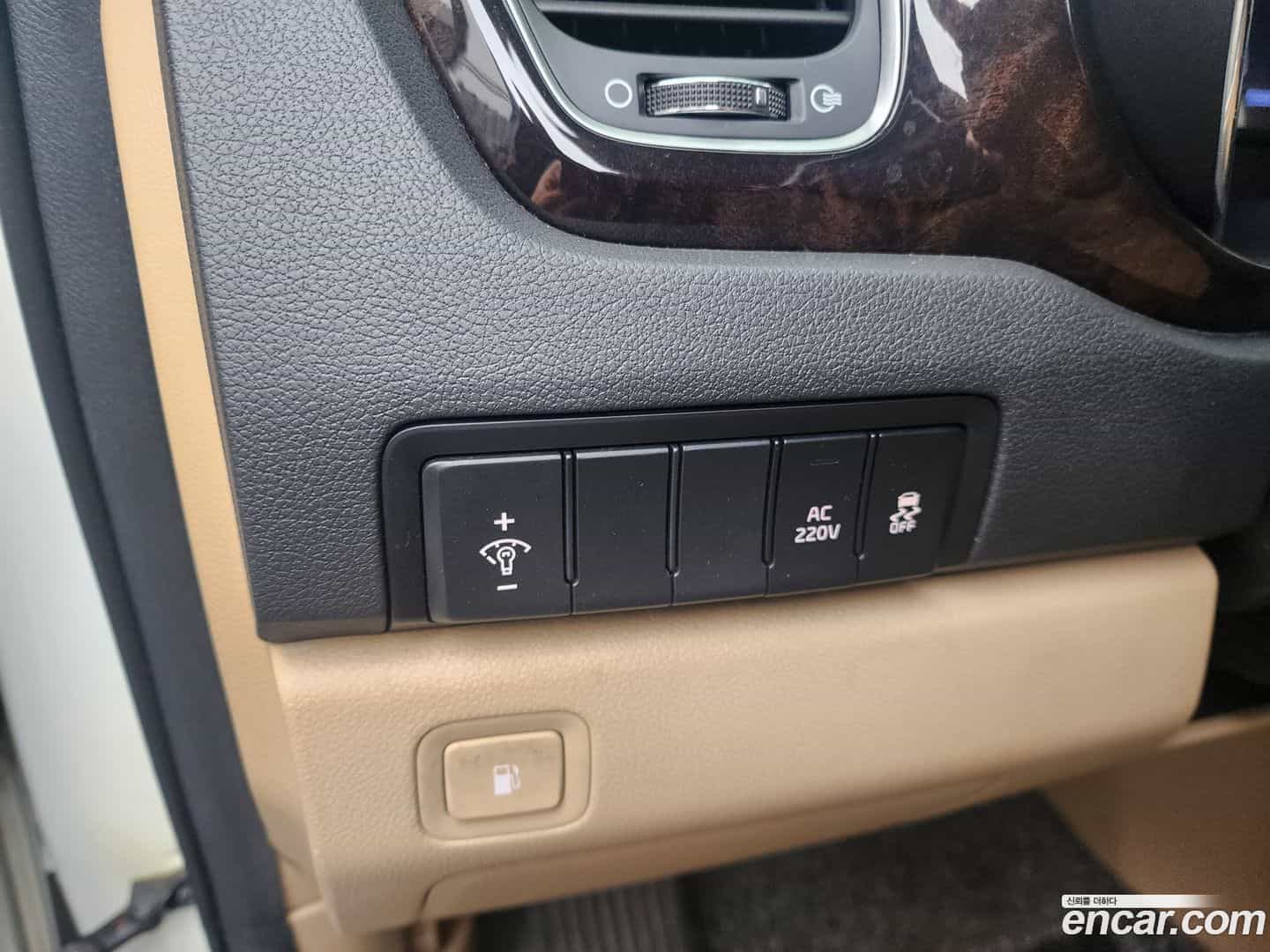 Canival Kia 2019.1-OPTION-021