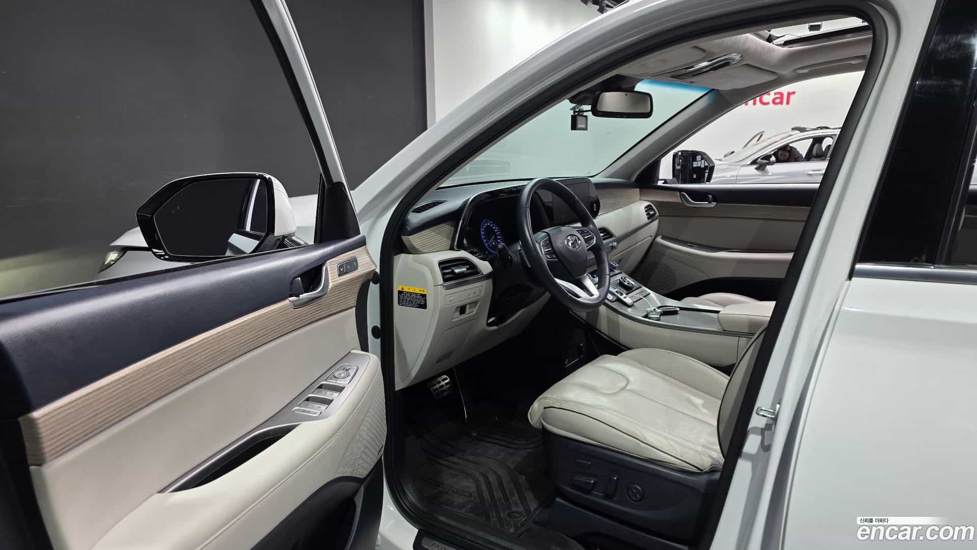 Palisade Hyundai 2019.4-OPTION-015