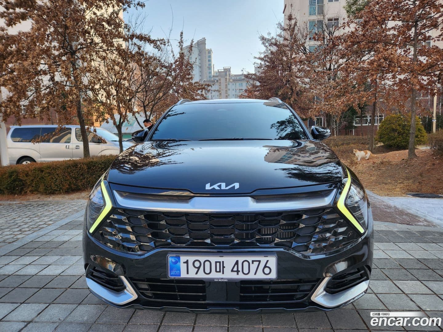 Main__Slider__Photo:Sportage Kia 2022.0-0