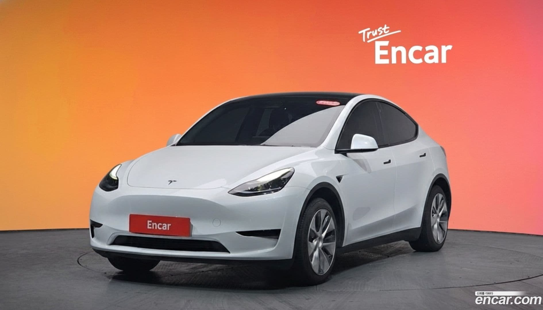 Main__Slider__Photo:Model Y Tesla 2023.7-0