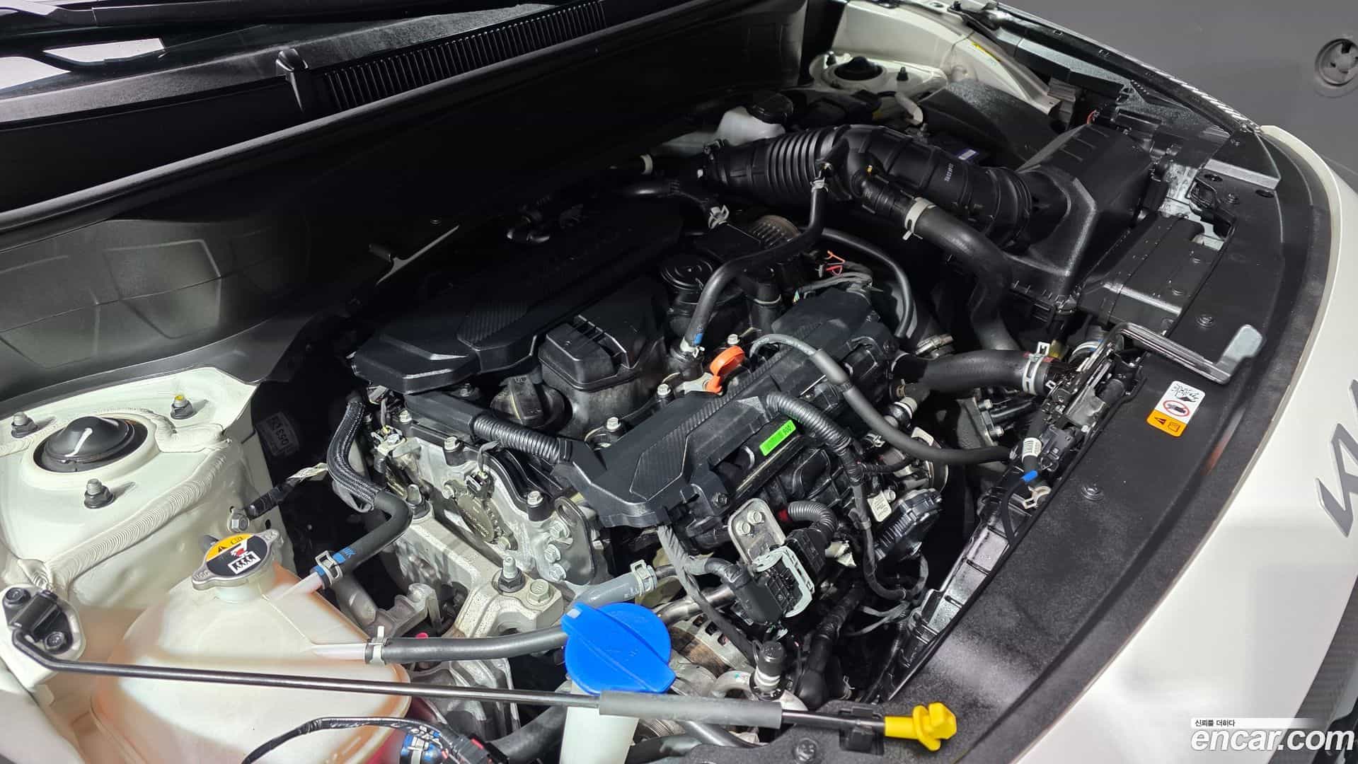 Seltos Kia 2023.6-INNER-006