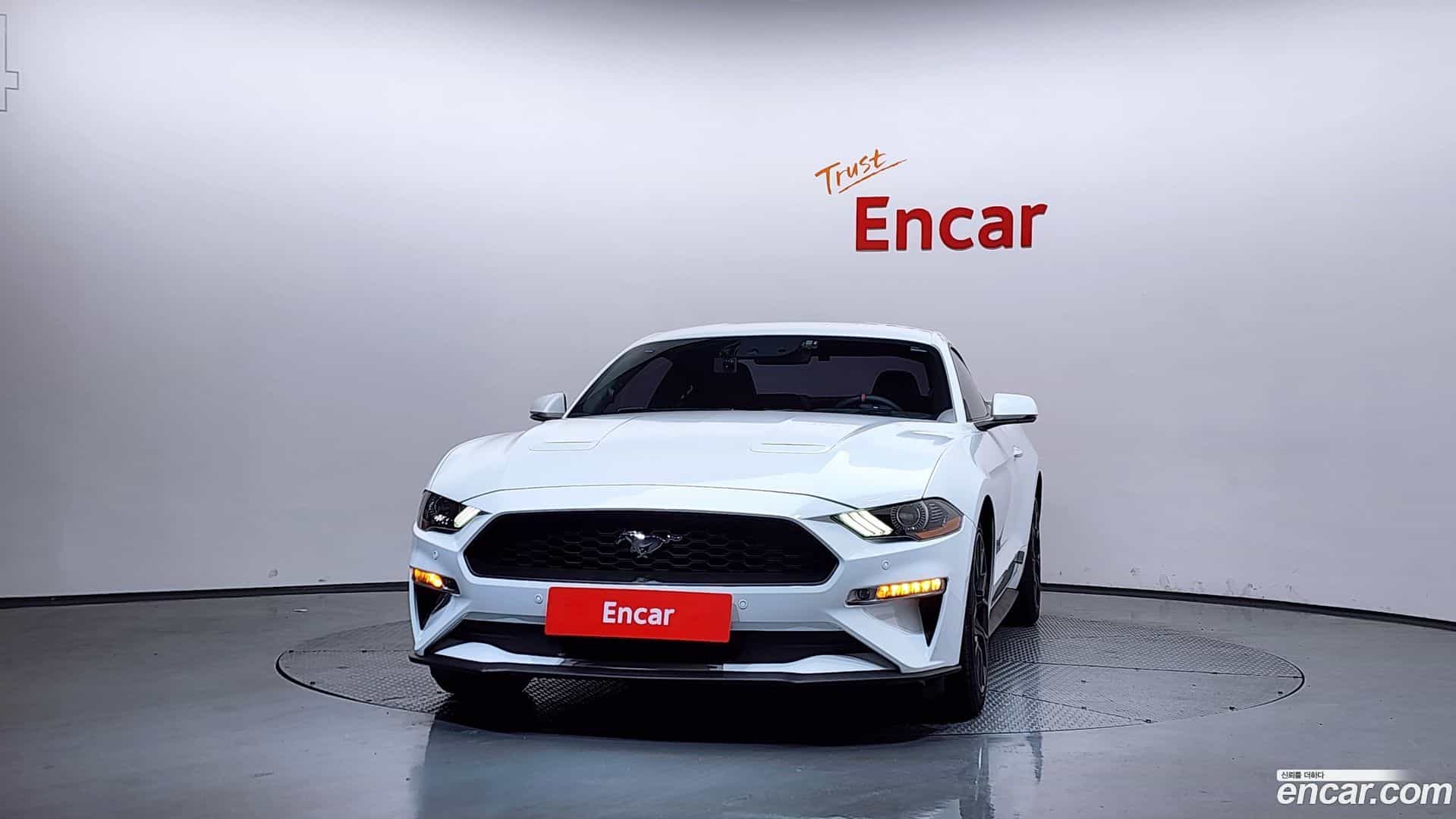 Mustang Ford 2019.9-OUTER-003
