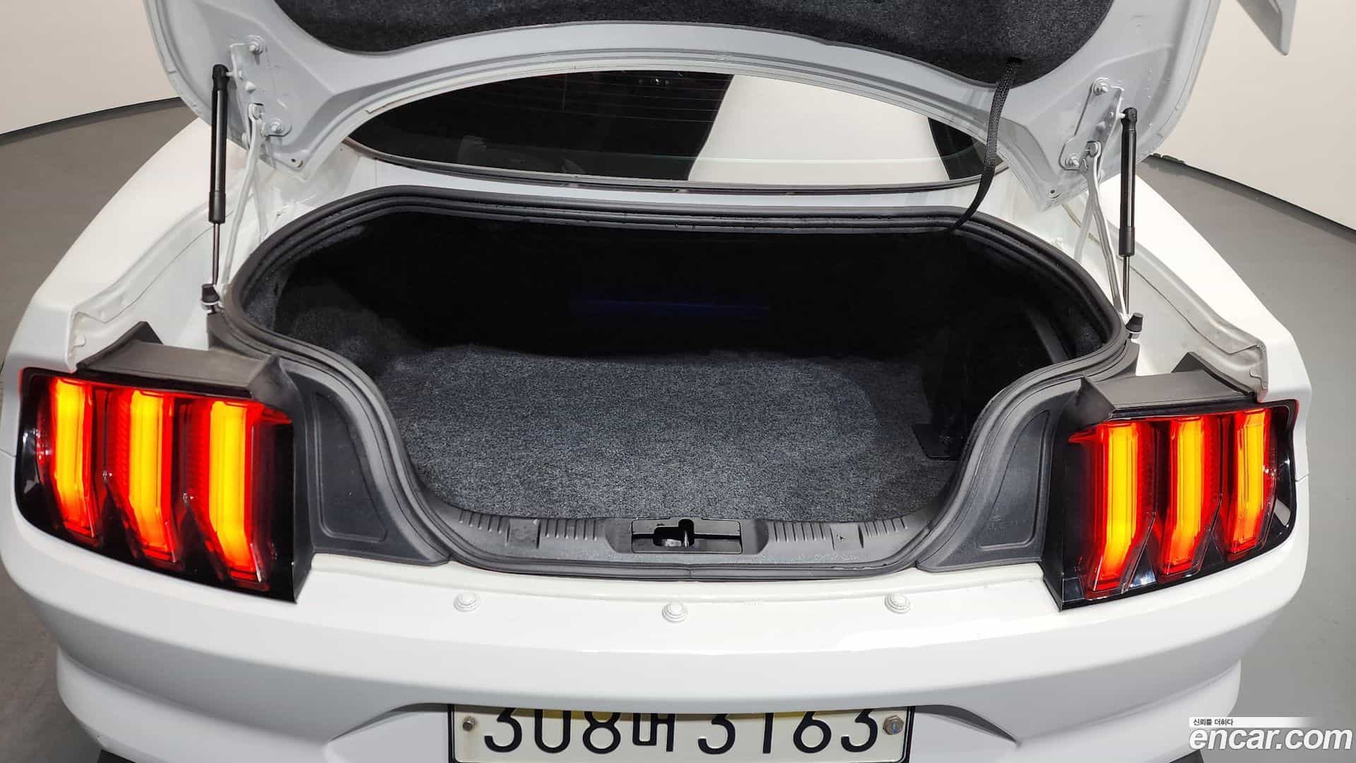 Mustang Ford 2019.9-OPTION-024