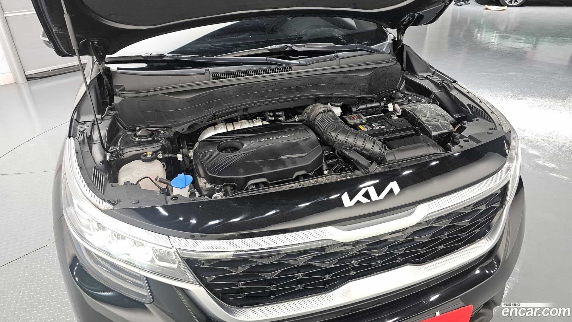 Seltos Kia 2022.3-INNER-006