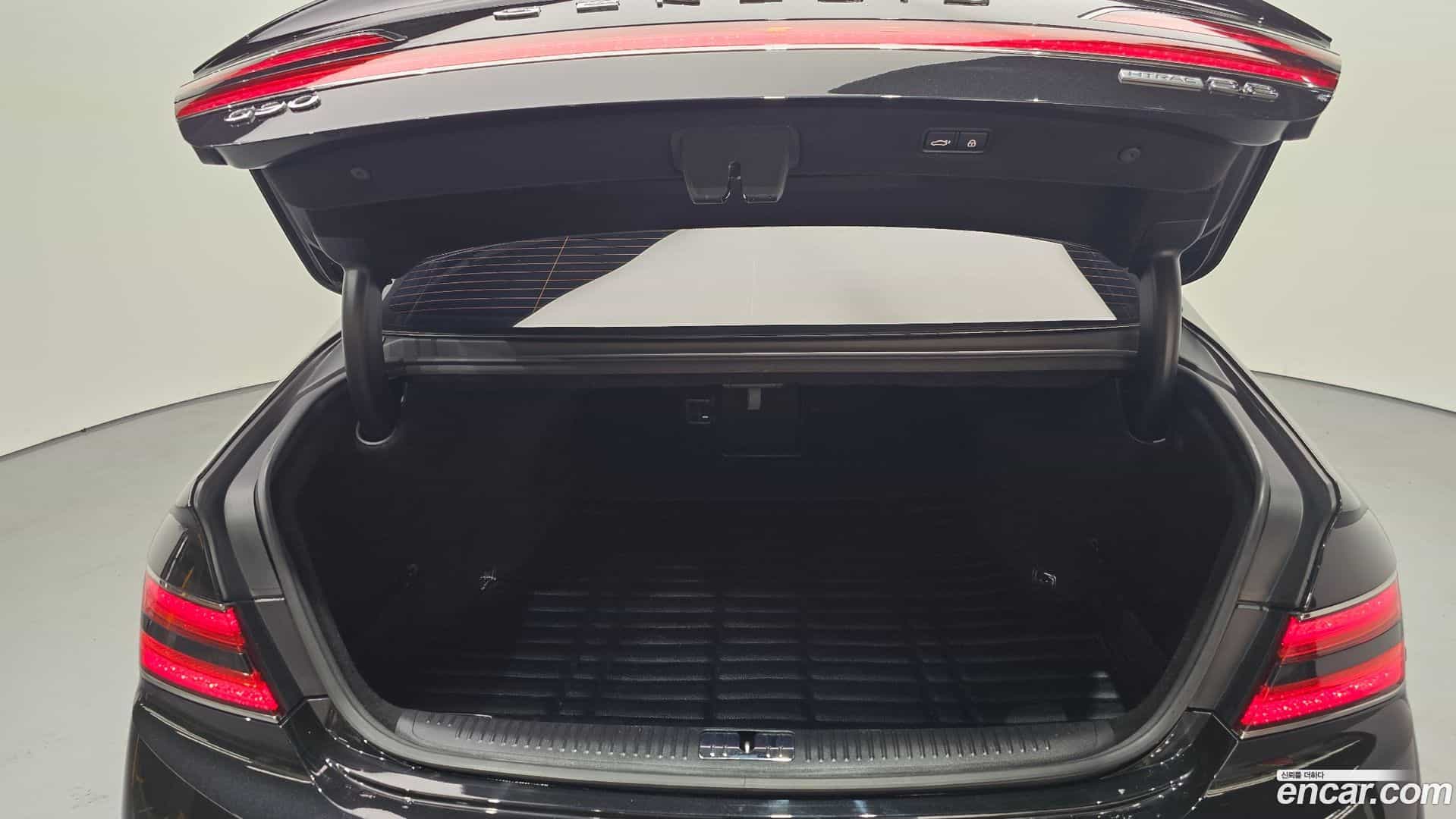 G90 Genesis 2019.6-OPTION-024