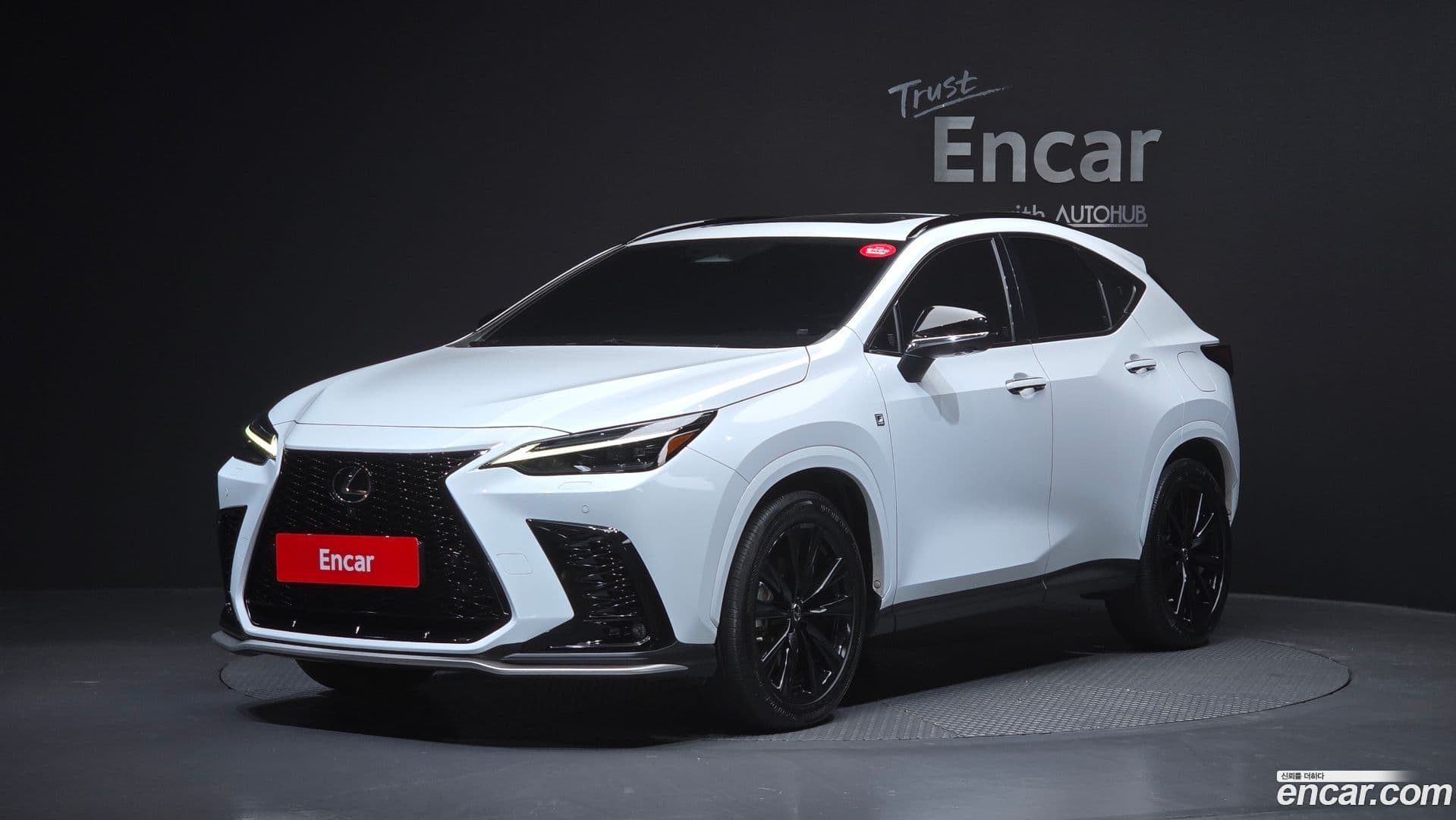 Main__Slider__Photo:NX Lexus 2022.10-0
