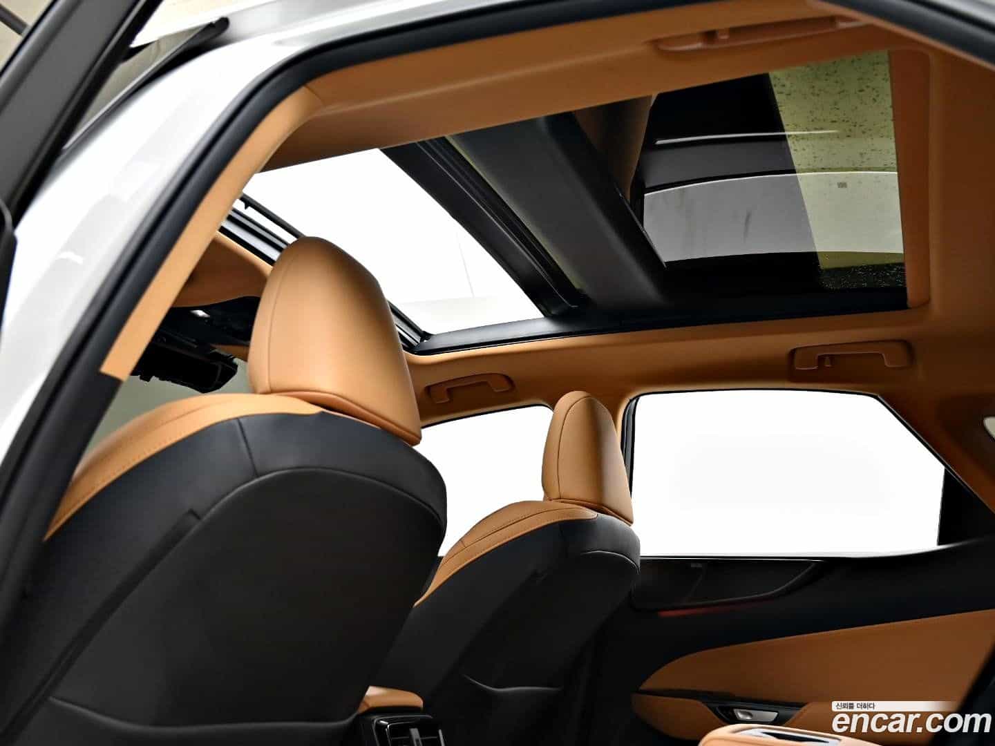 NX Lexus 2024.7-OPTION-019