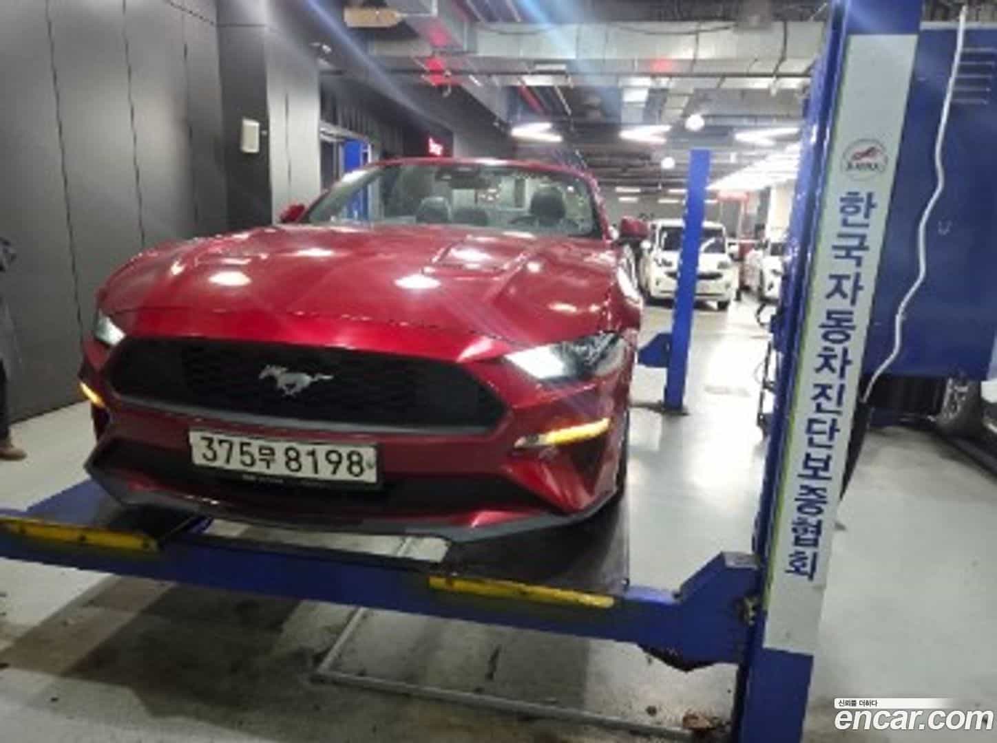 Mustang Ford 2022.5-OUTER-001