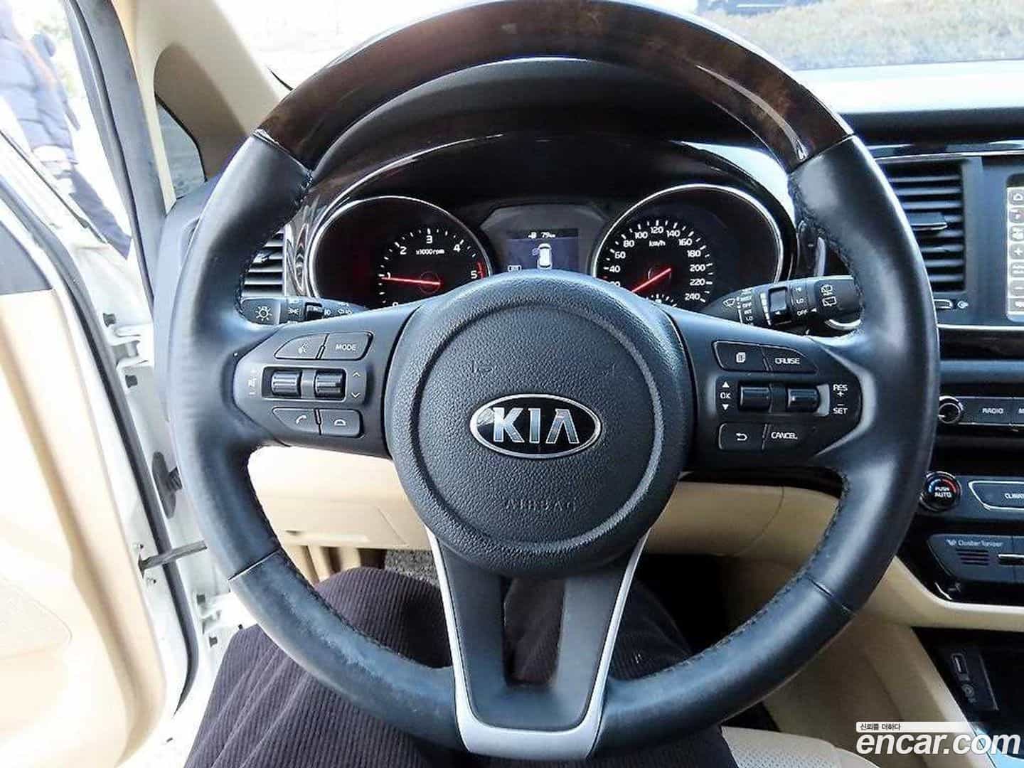 Canival Kia 2019.5-INNER-009