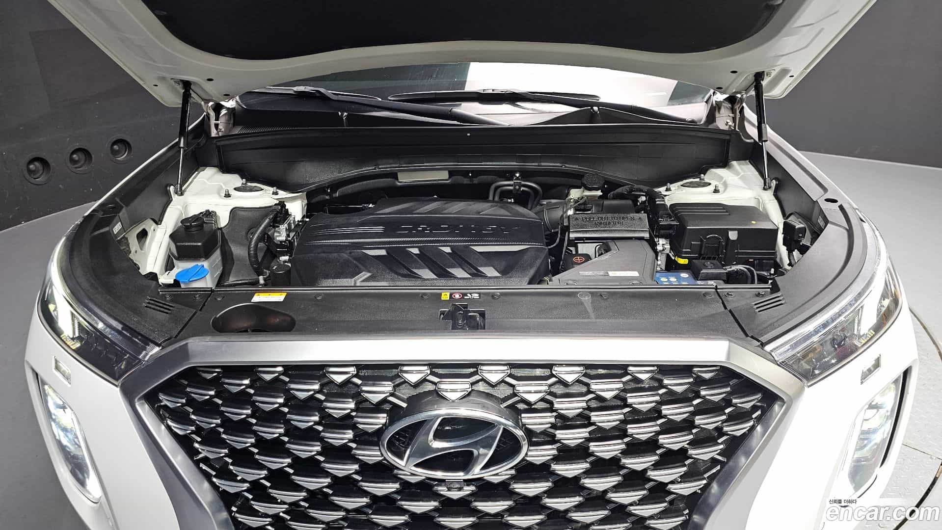 Palisade Hyundai 2020.7-OUTER-006