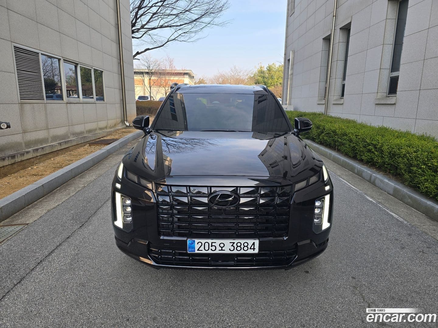 Main__Slider__Photo:Palisade Hyundai 2024.2-0