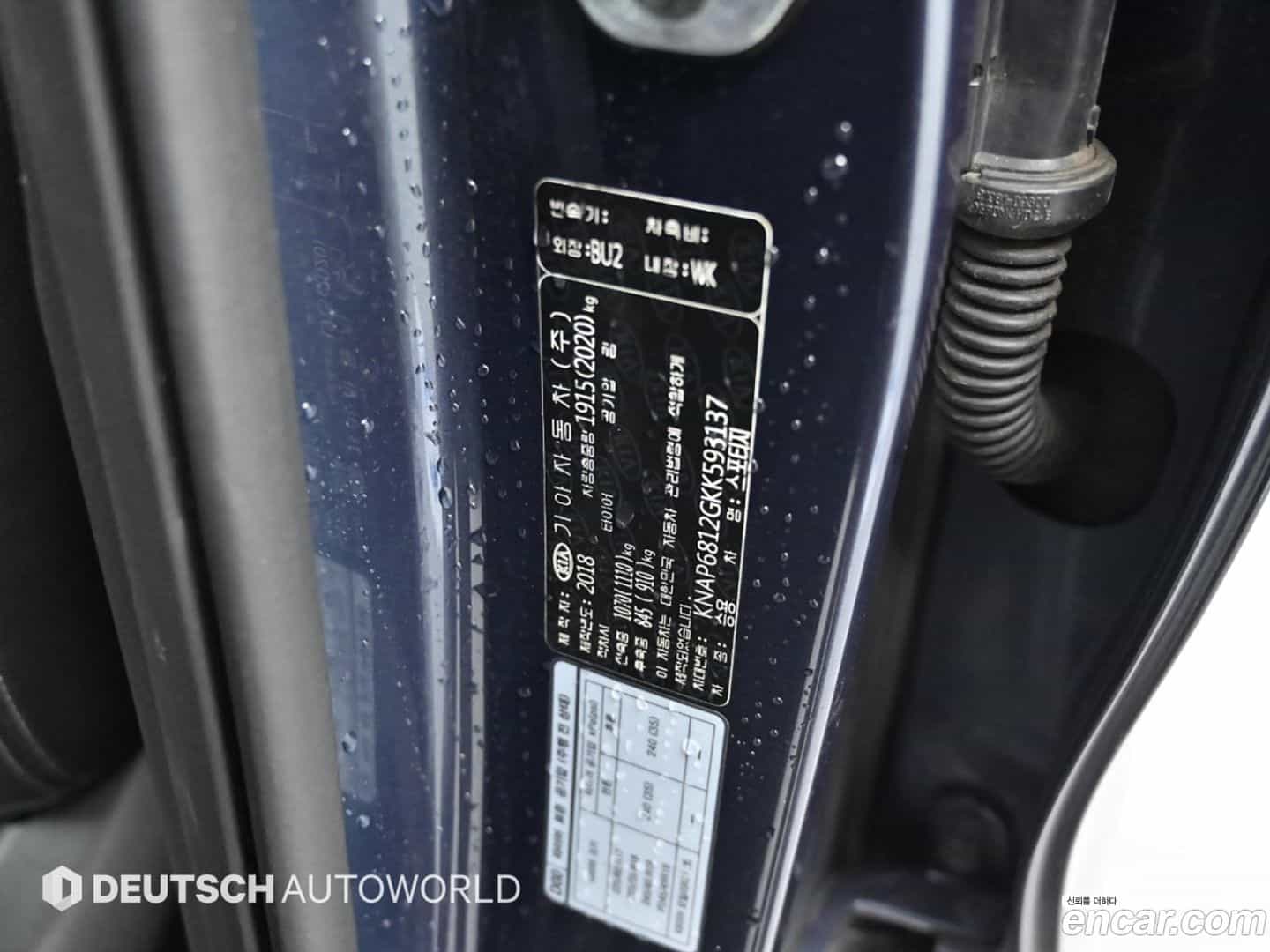 Sportage Kia 2018.10-OPTION-024