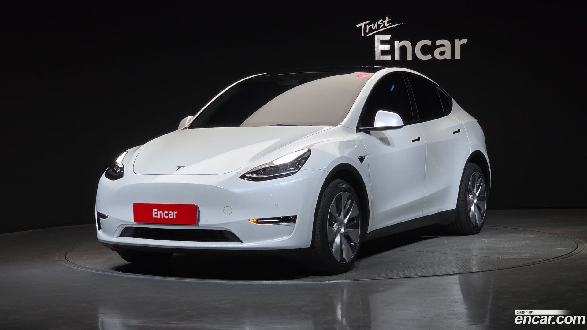 Main__Slider__Photo:Model Y Tesla 2021.8-0