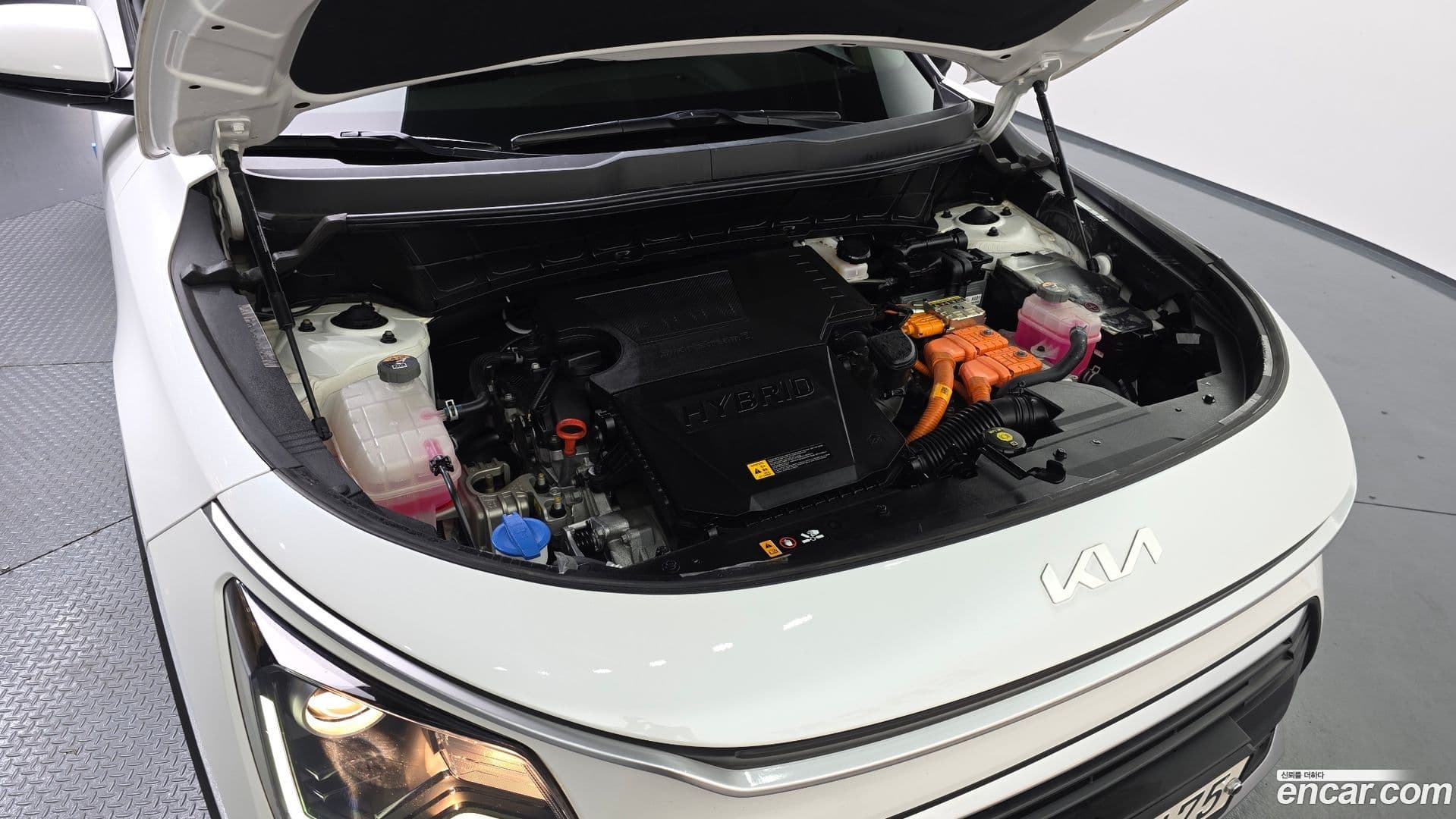 Main__Slider__Photo:Niro Kia 2022.2-5