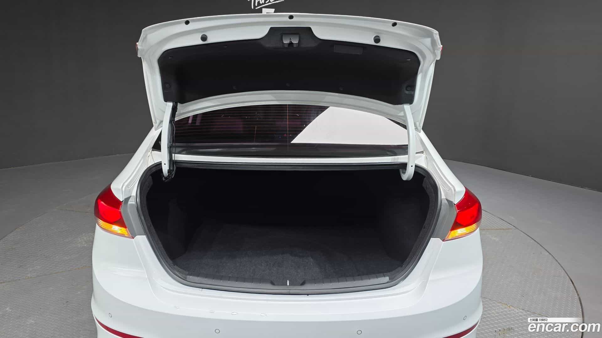 AVANTE Hyundai 2017.0-OPTION-024
