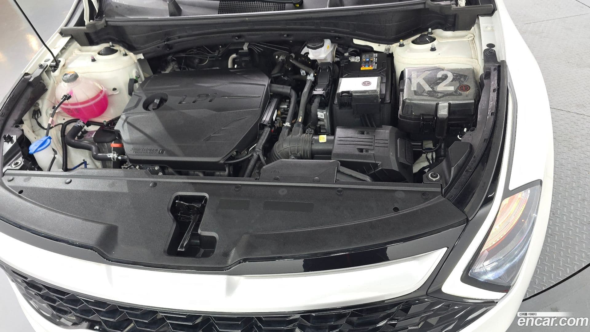 Main__Slider__Photo:Sportage Kia 2024.2-5