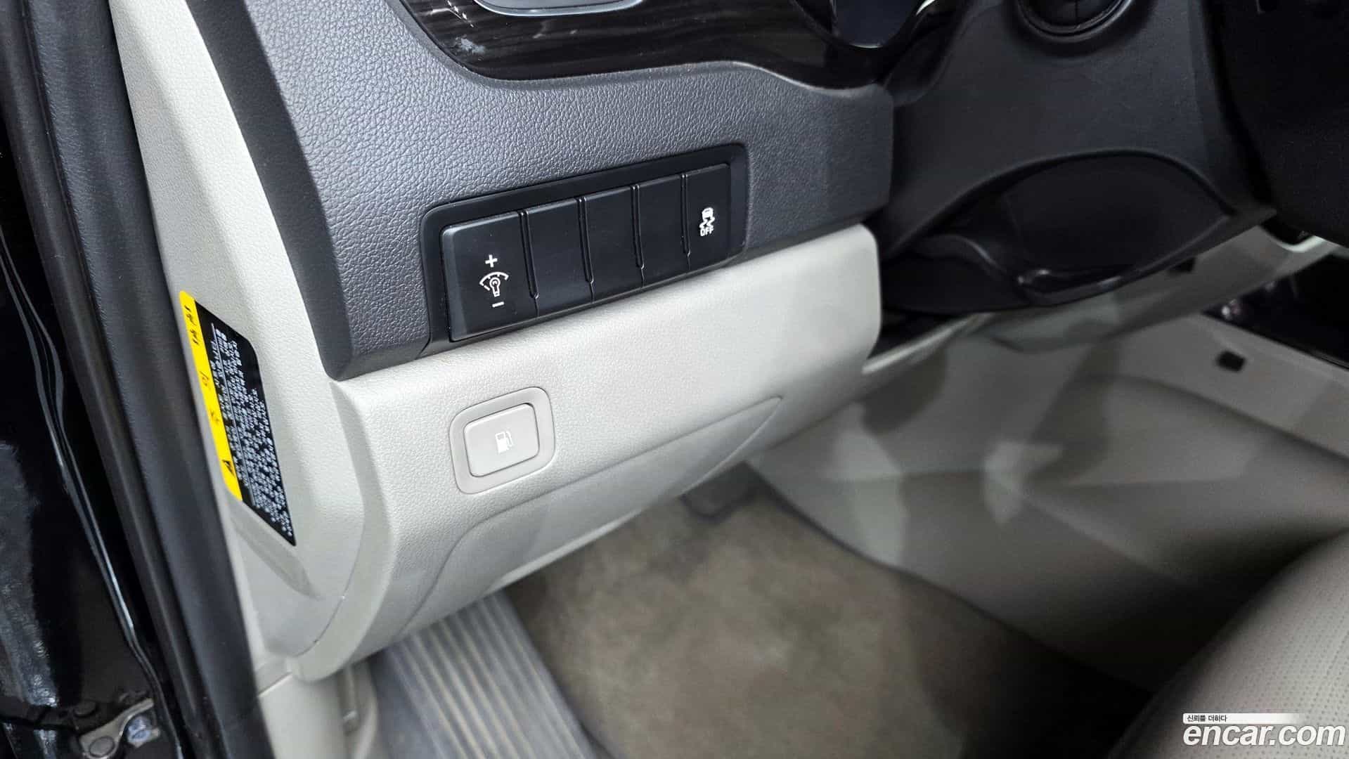 Canival Kia 2019.10-OPTION-020