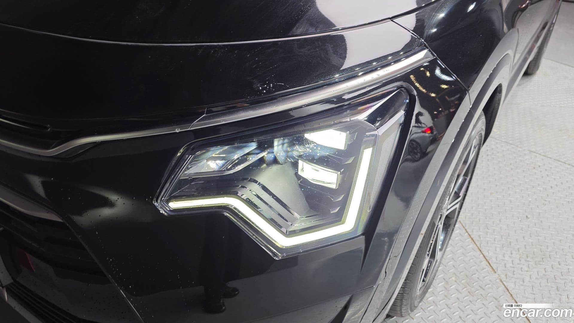 Main__Slider__Photo:Niro Kia 2025.3-21
