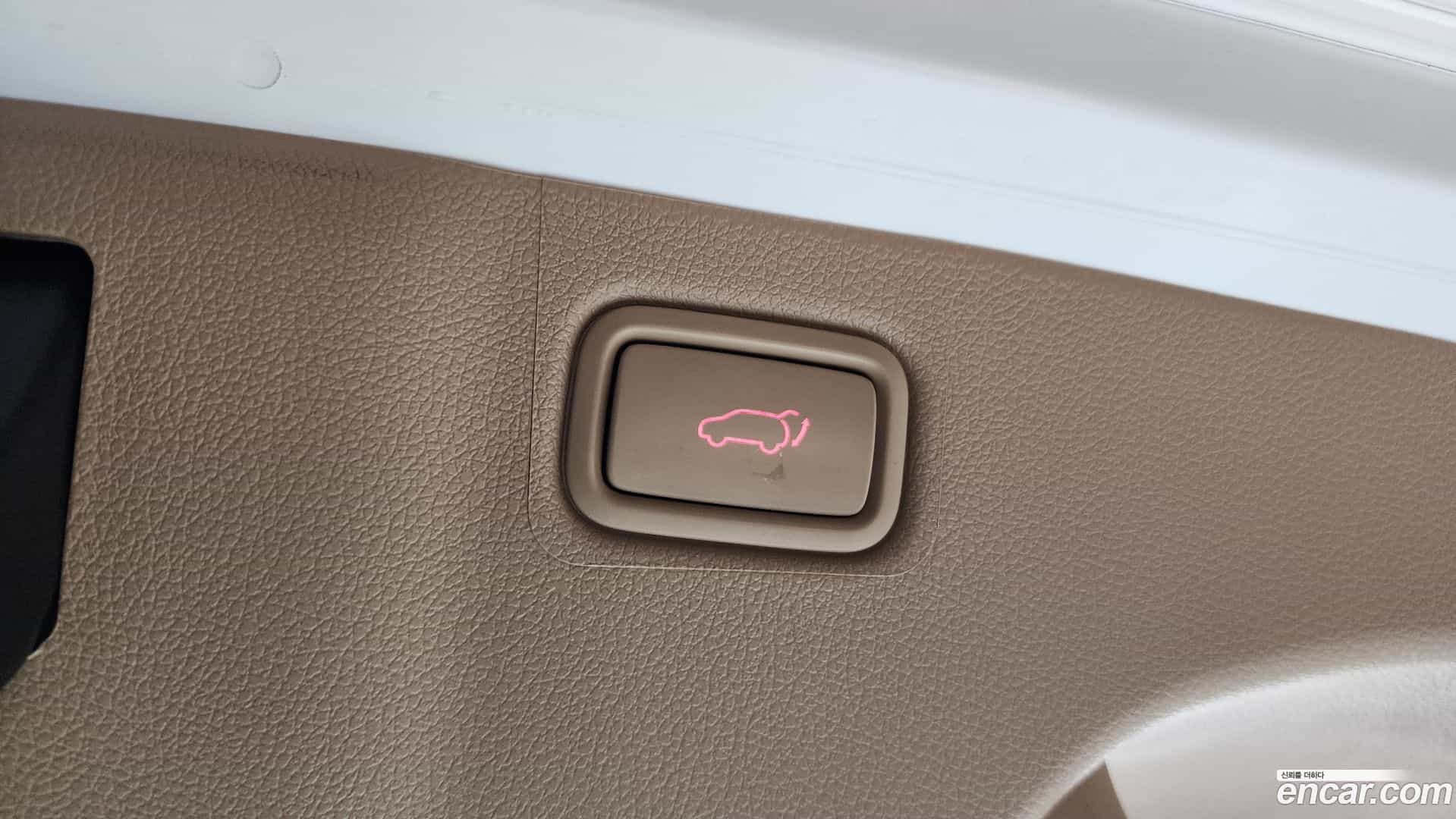 Canival Kia 2018.11-OPTION-045