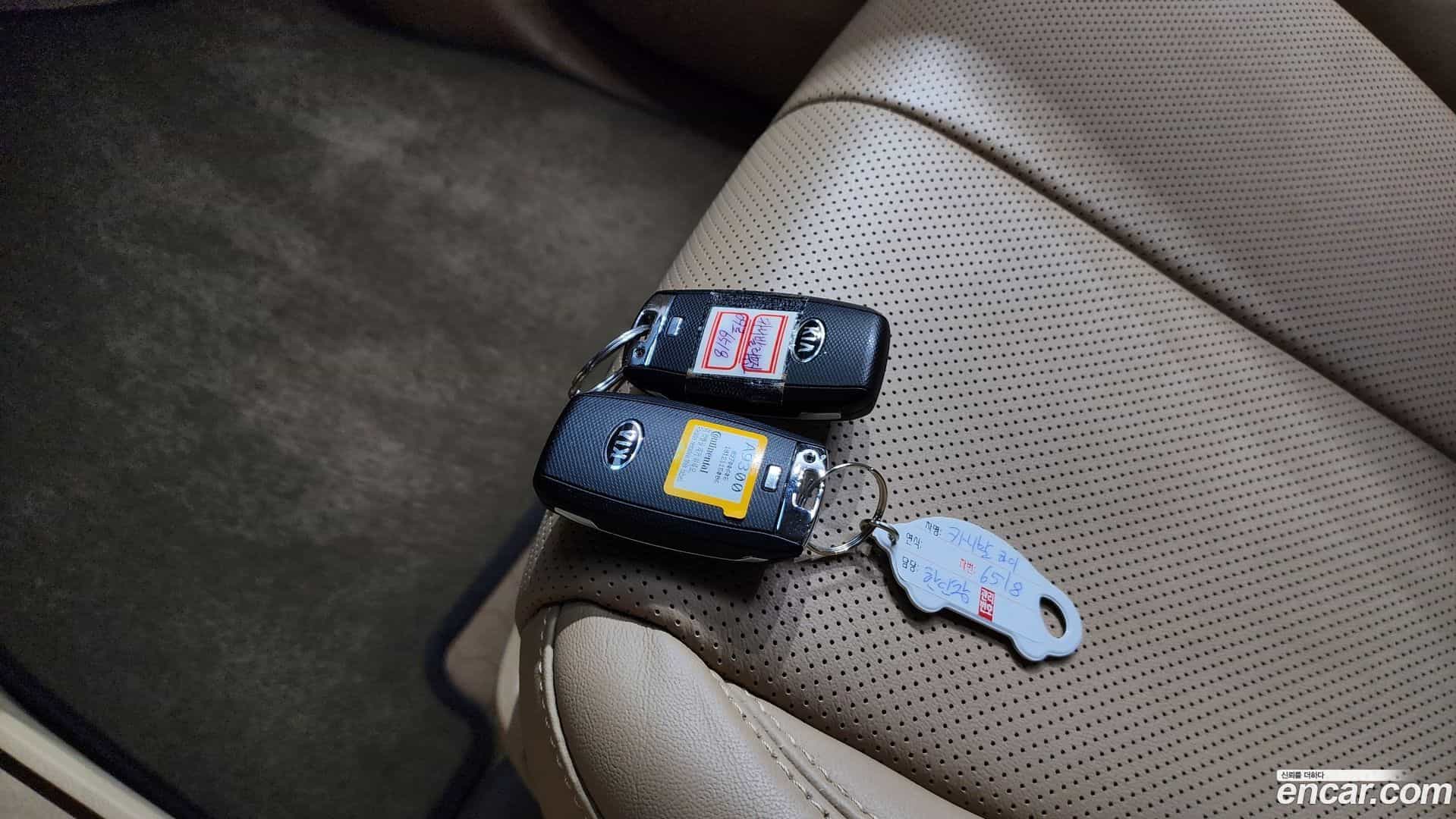 Canival Kia 2018.11-OPTION-046