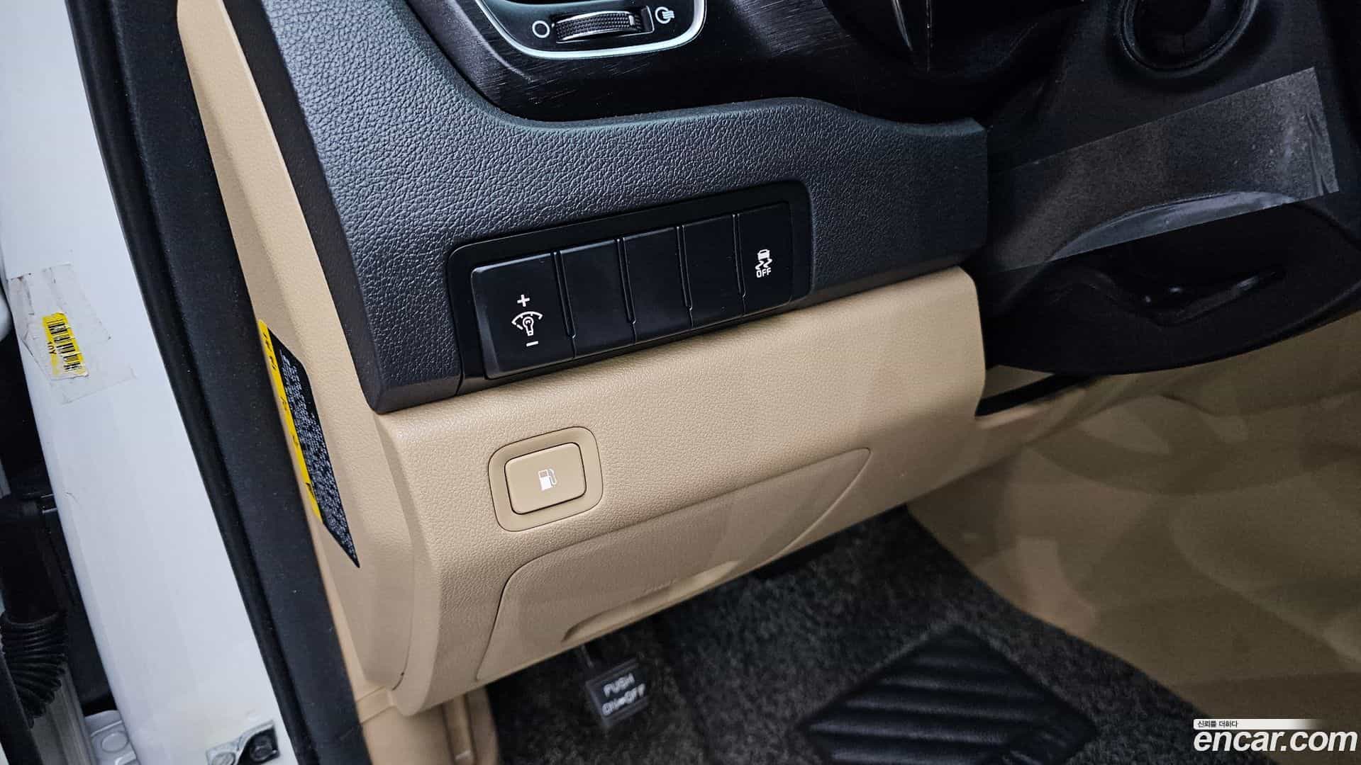 Canival Kia 2019.10-OPTION-022