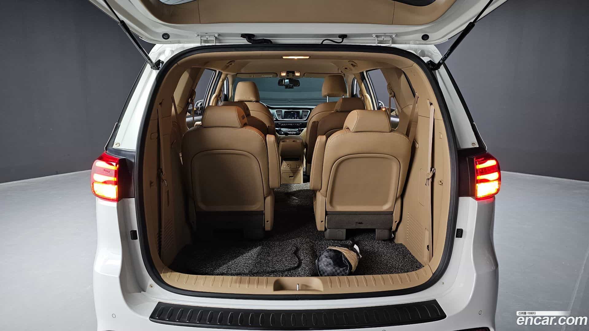 Canival Kia 2019.10-OPTION-024