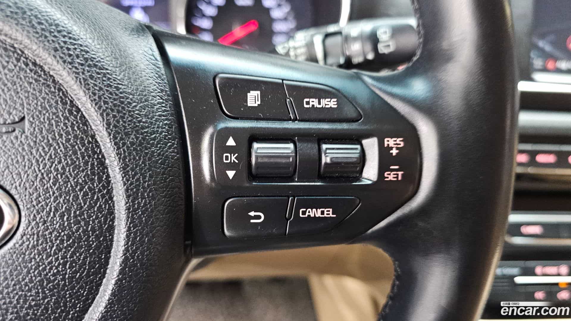 Canival Kia 2019.10-OPTION-040