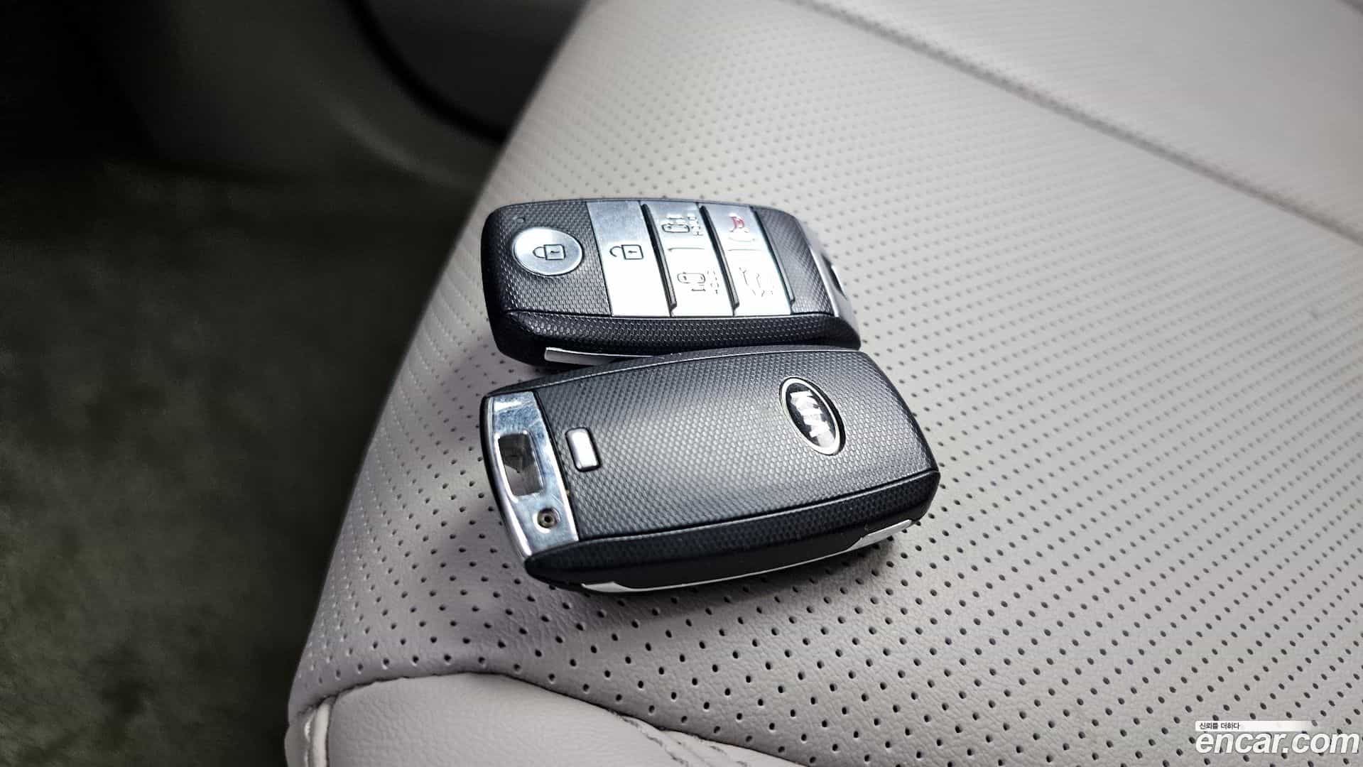 Canival Kia 2017.11-OPTION-040