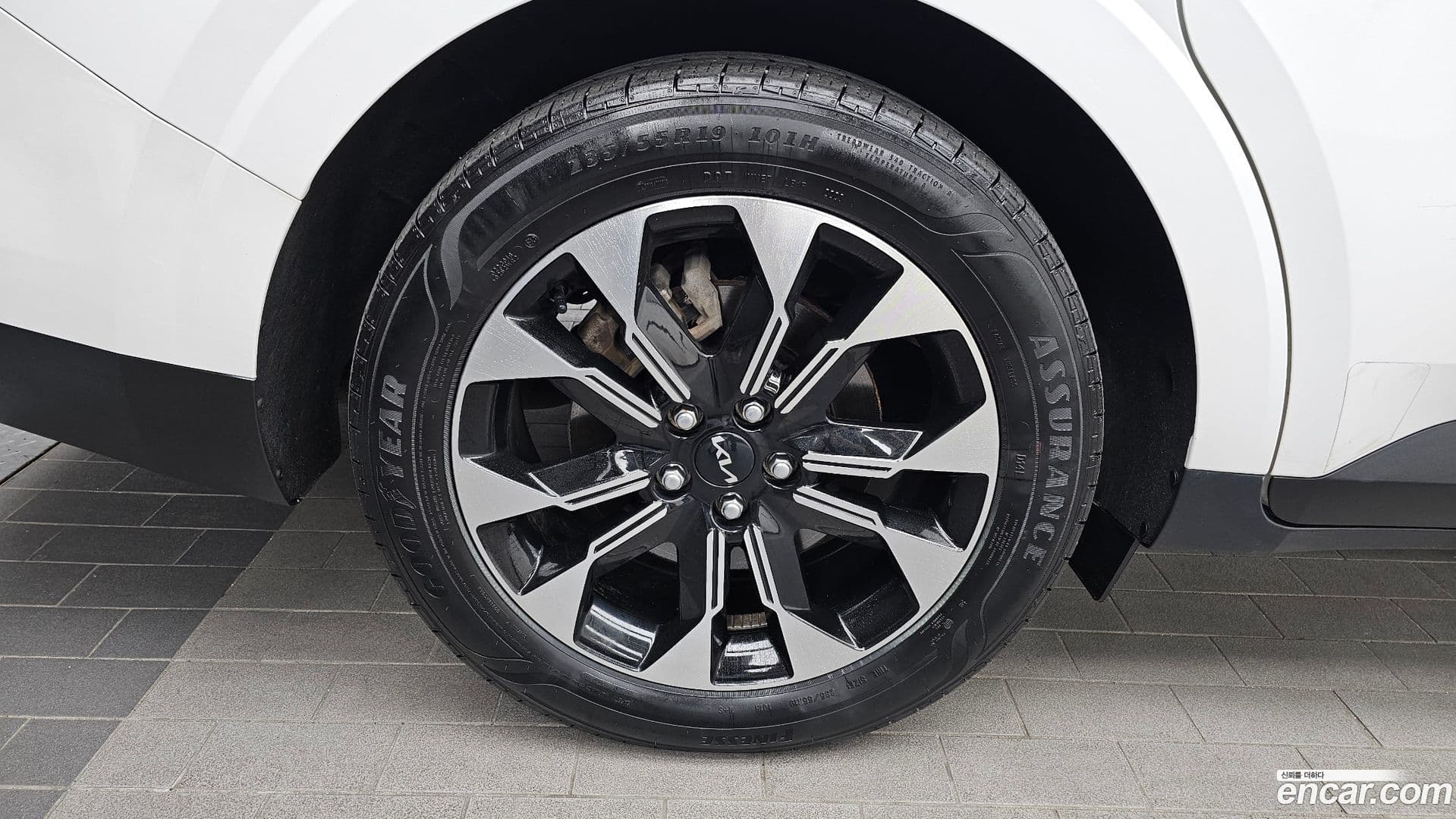 Main__Slider__Photo:Canival Kia 2023.6-4