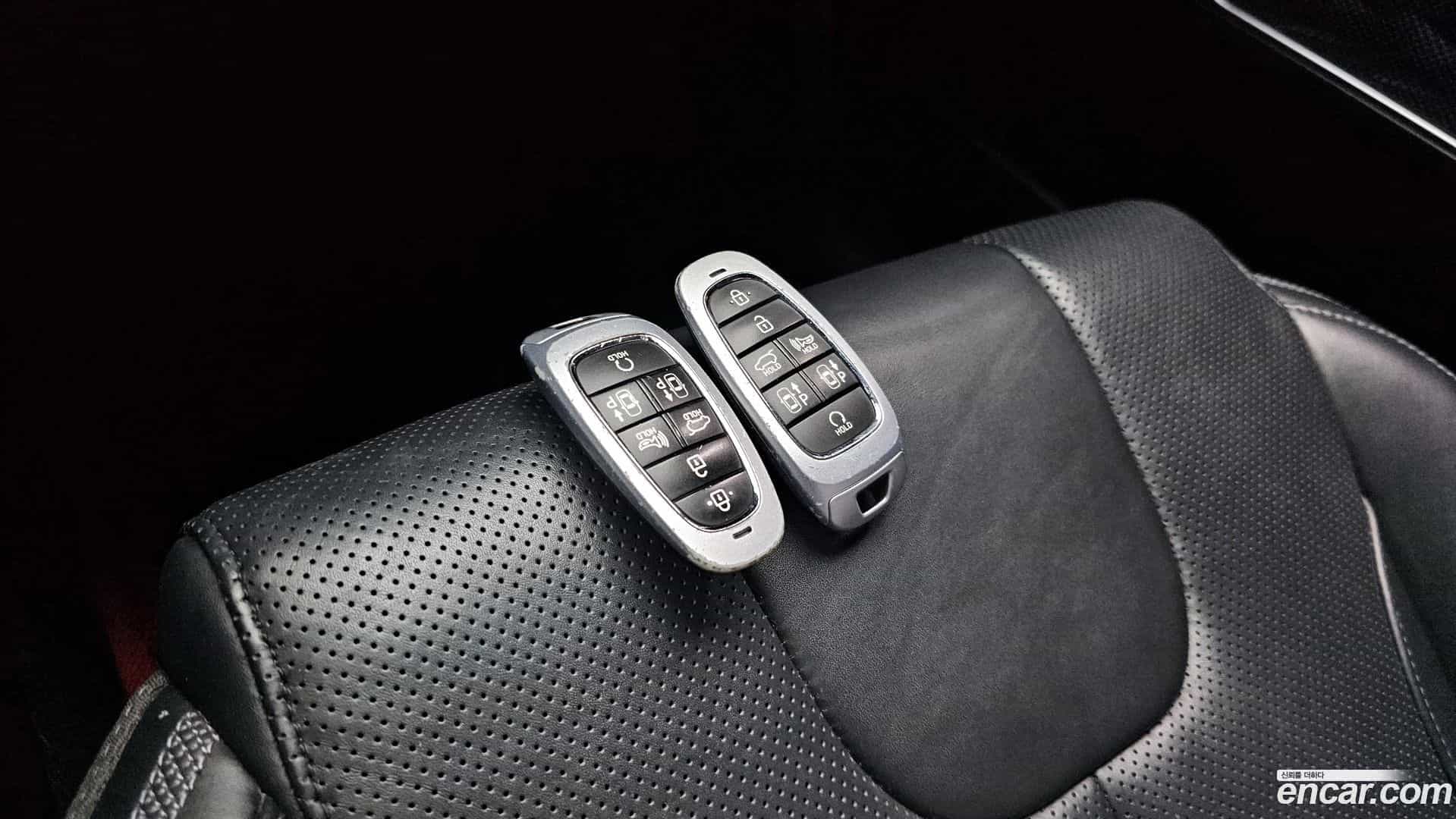 Santafe Hyundai 2021.11-OPTION-022