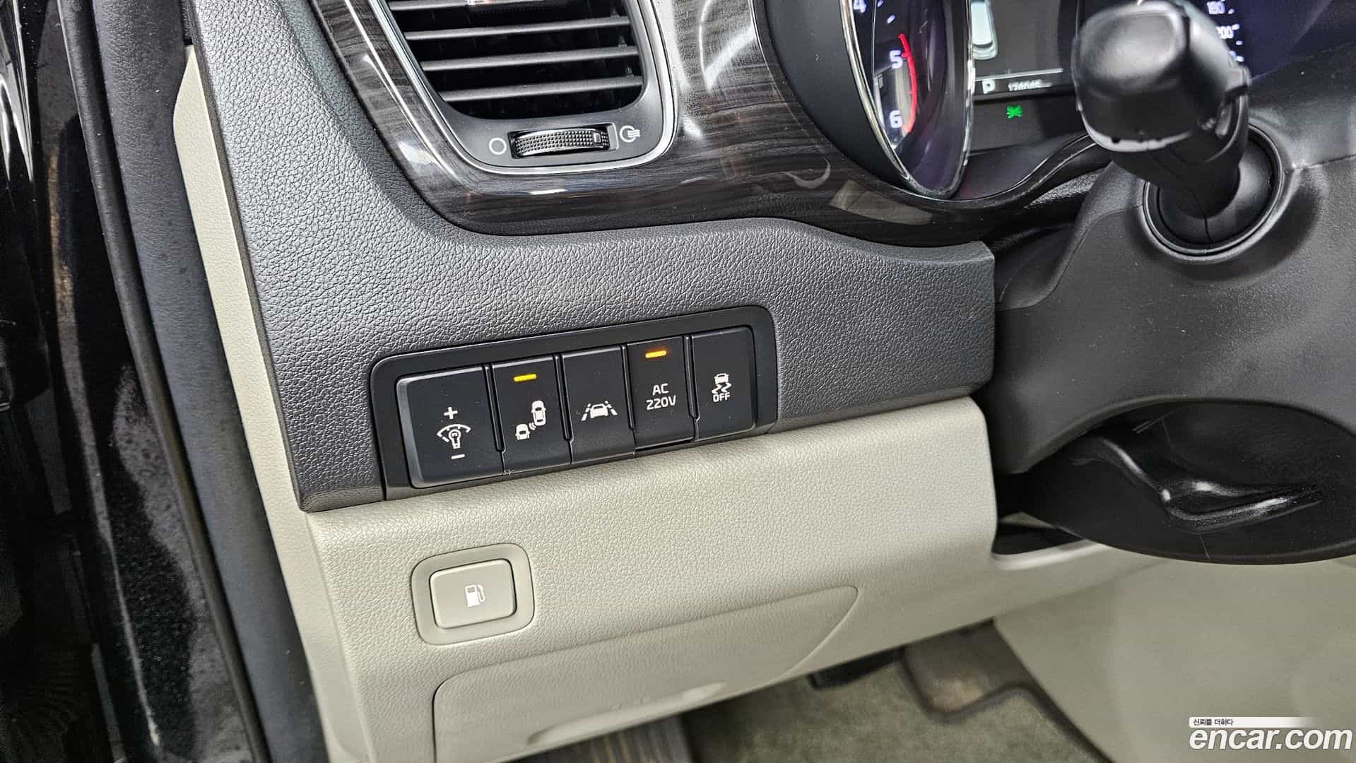 Canival Kia 2019.6-OPTION-020