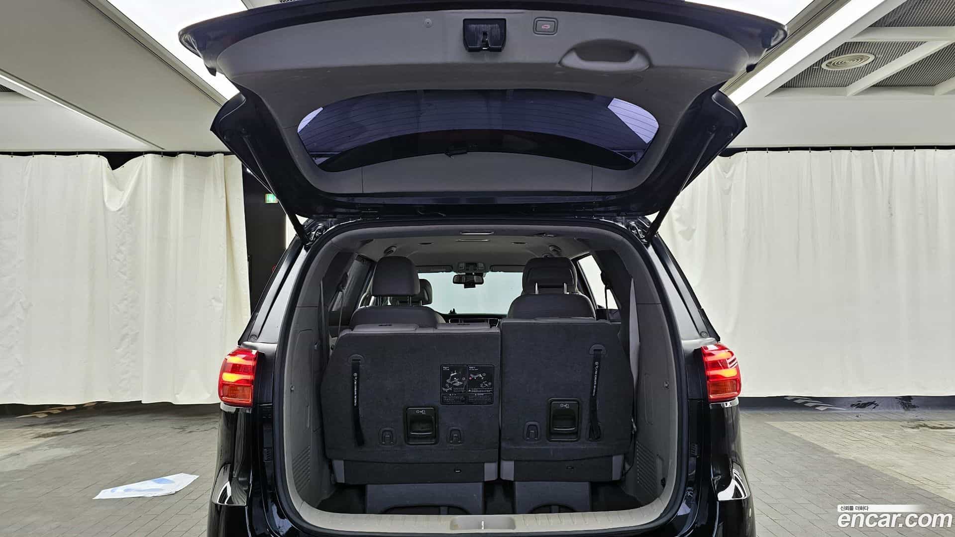 Canival Kia 2019.6-OPTION-024