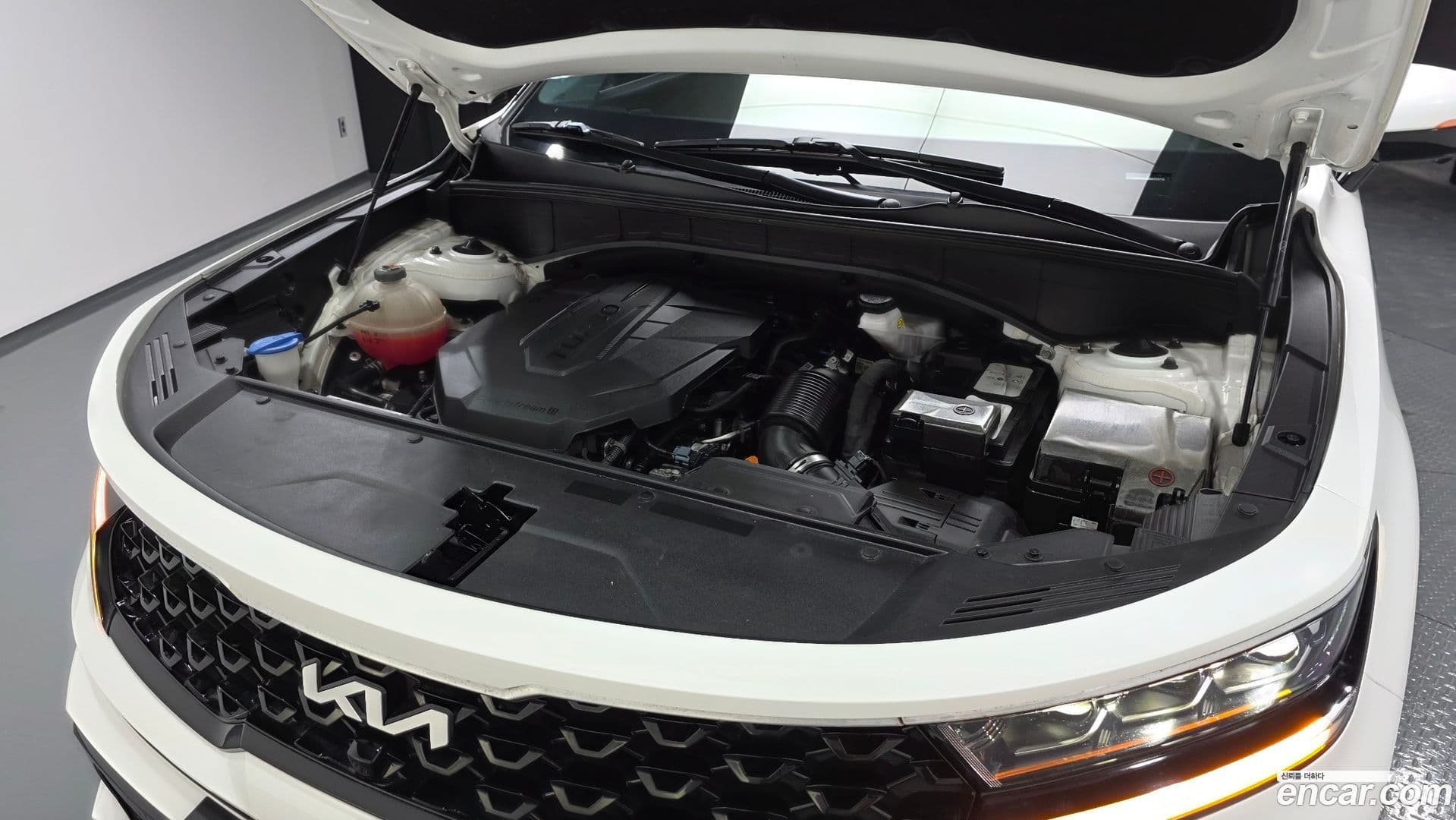 Main__Slider__Photo:Sorento Kia 2022.3-5