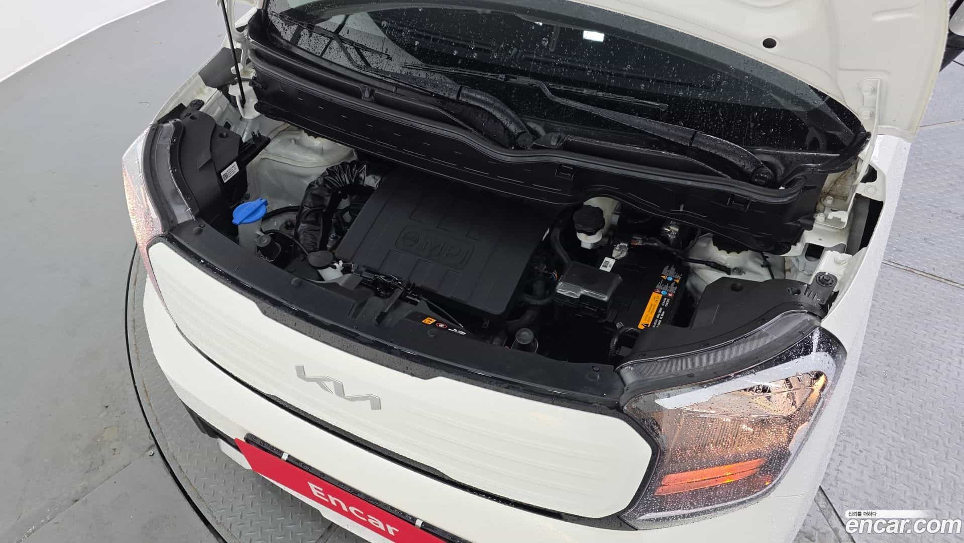 RAY Kia 2025.1-OUTER-006