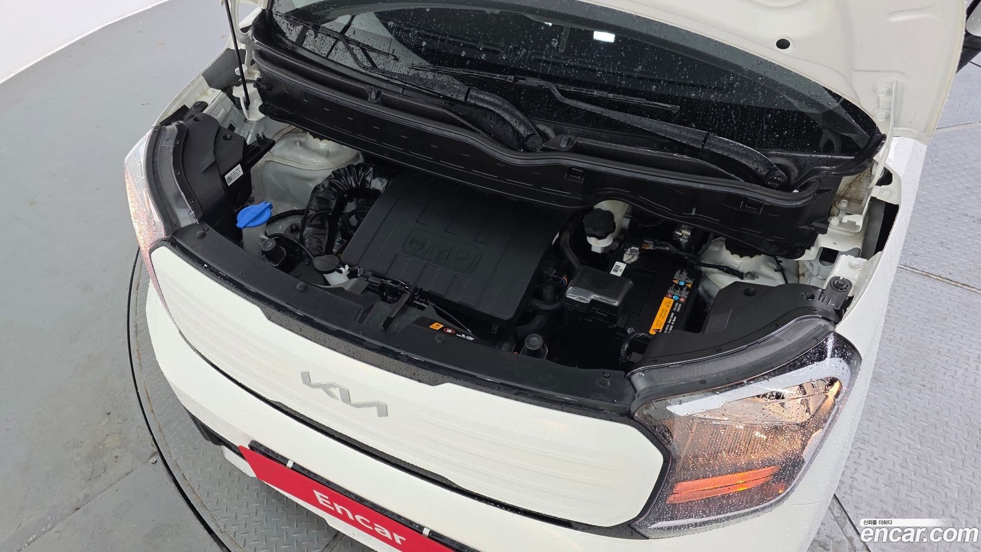 Main__Slider__Photo:RAY Kia 2025.1-5