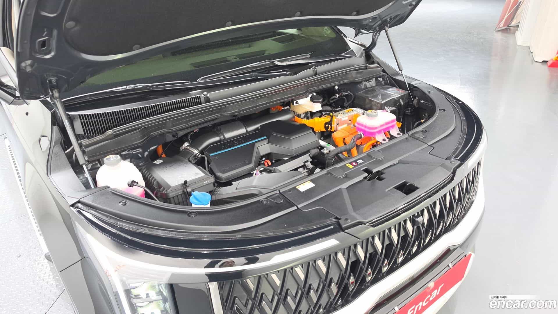 Canival Kia 2024.6-OUTER-006