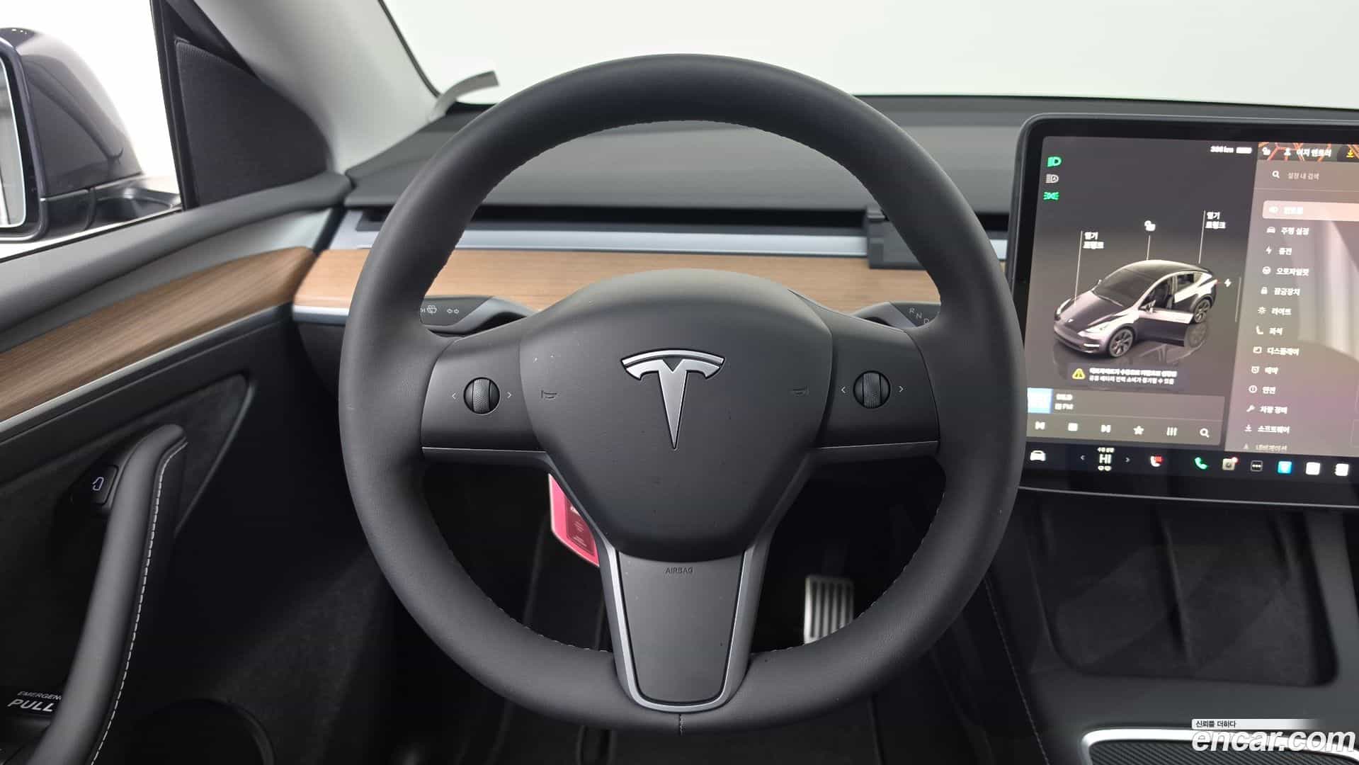 Model Y Tesla 2025.1-OPTION-017