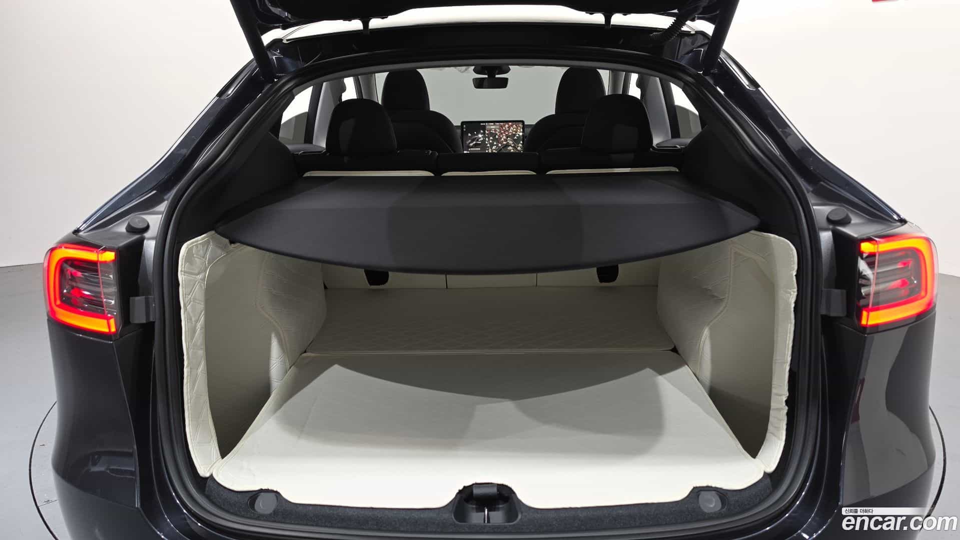 Model Y Tesla 2025.1-OPTION-021