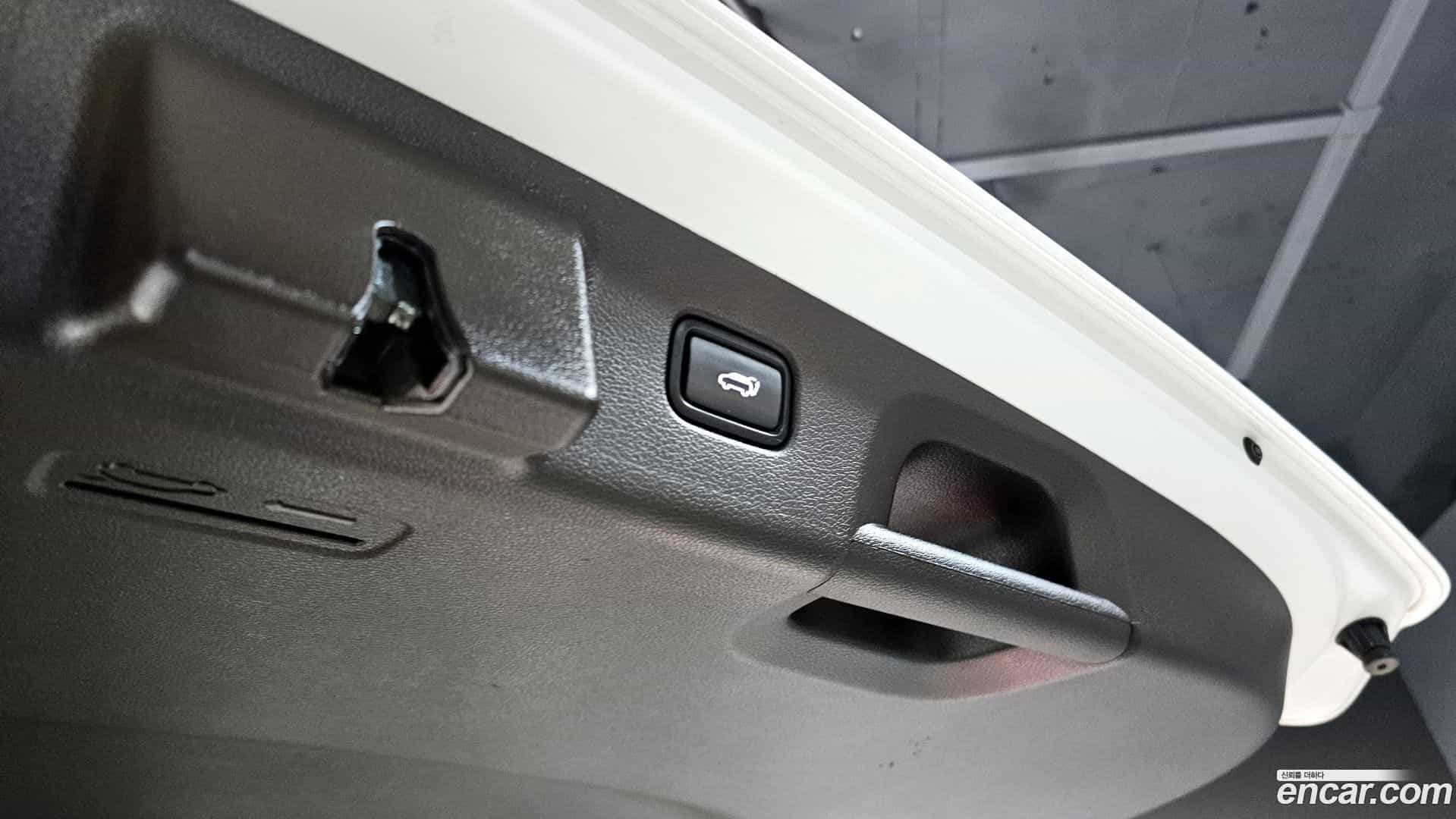 Palisade Hyundai 2020.5-OPTION-024