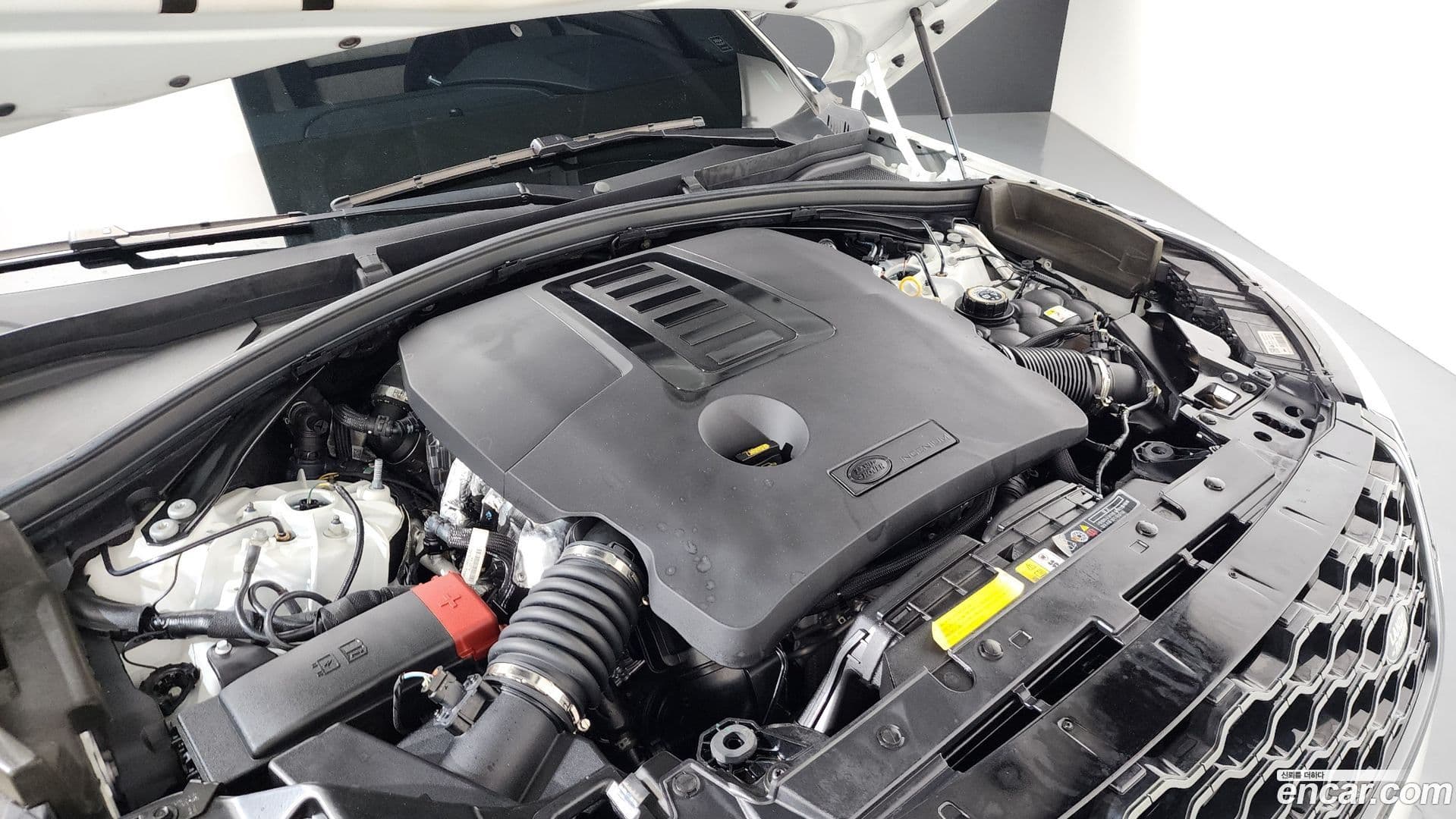 Main__Slider__Photo:Range Rover Velar Land Rover 2022.11-5