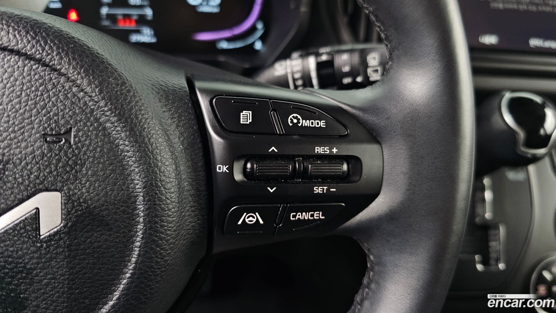 Main__Slider__Photo:RAY Kia 2023.5-15